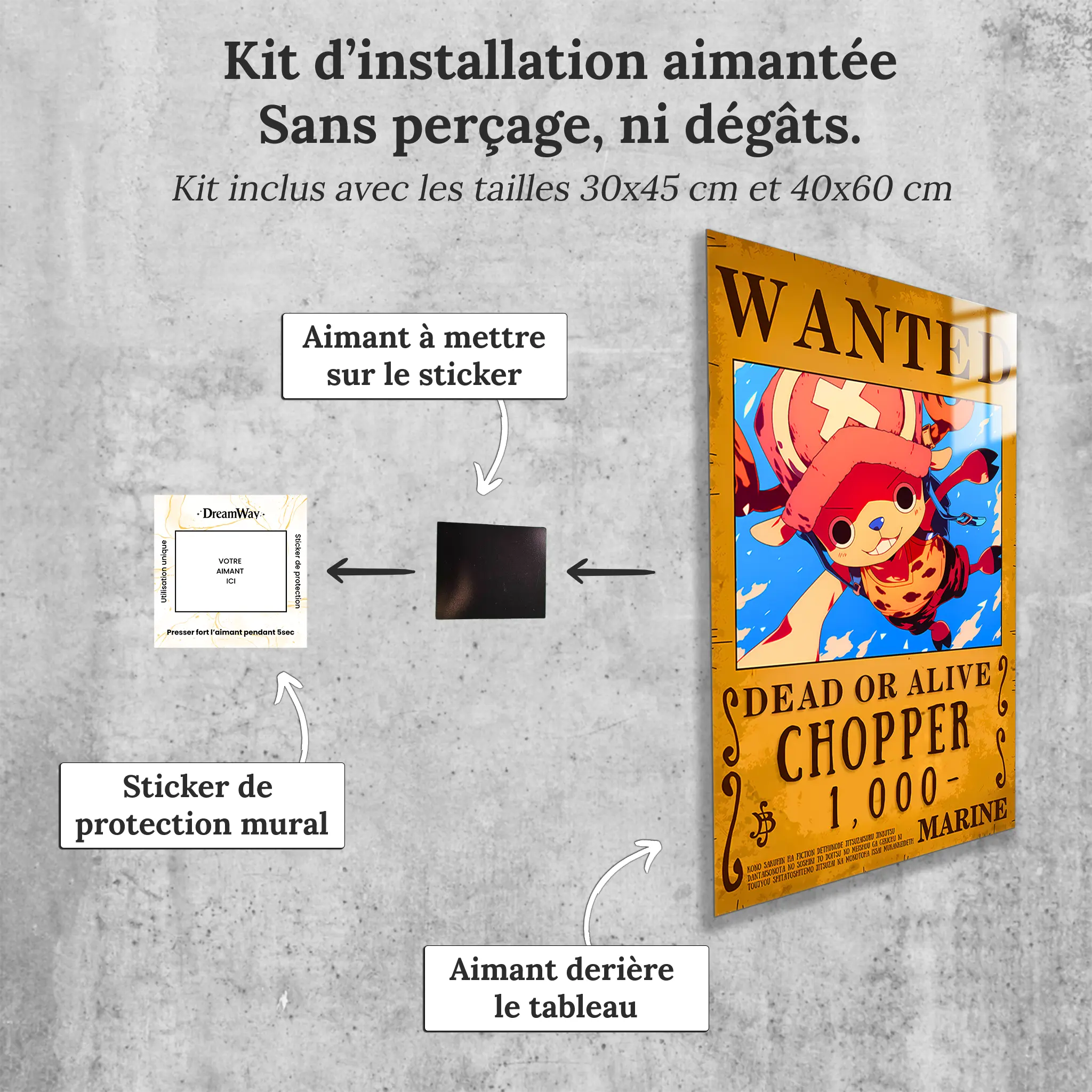 tableau-one-piece-wanted-Chopper-avec-installation-aimantee | DreamWay
