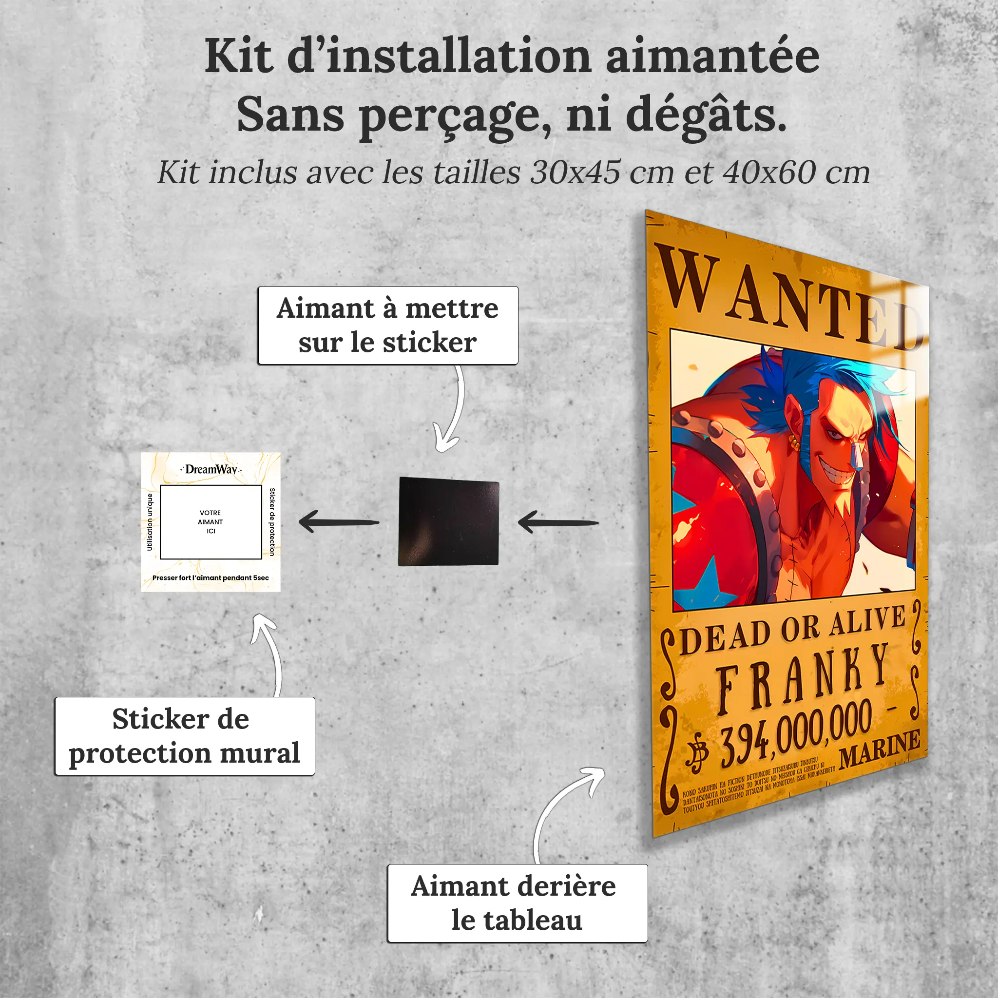tableau-one-piece-wanted-Franky-avec-installation-aimantee | DreamWay