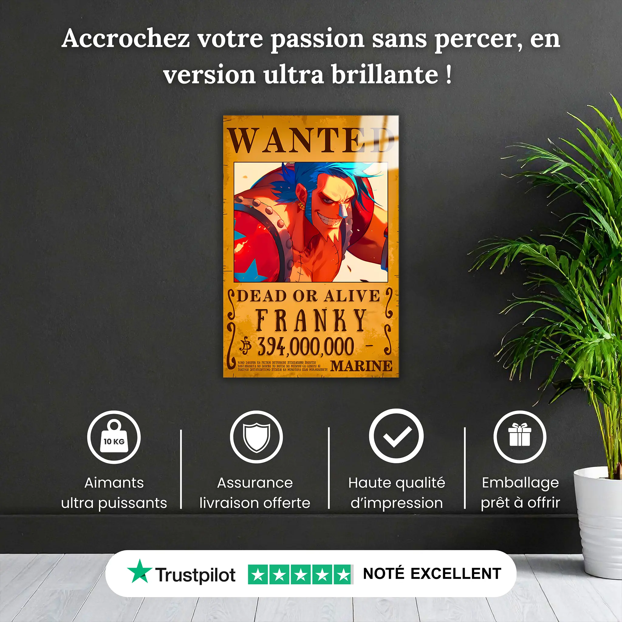 tableau-one-piece-wanted-Franky-pourquoi-acheter | DreamWay