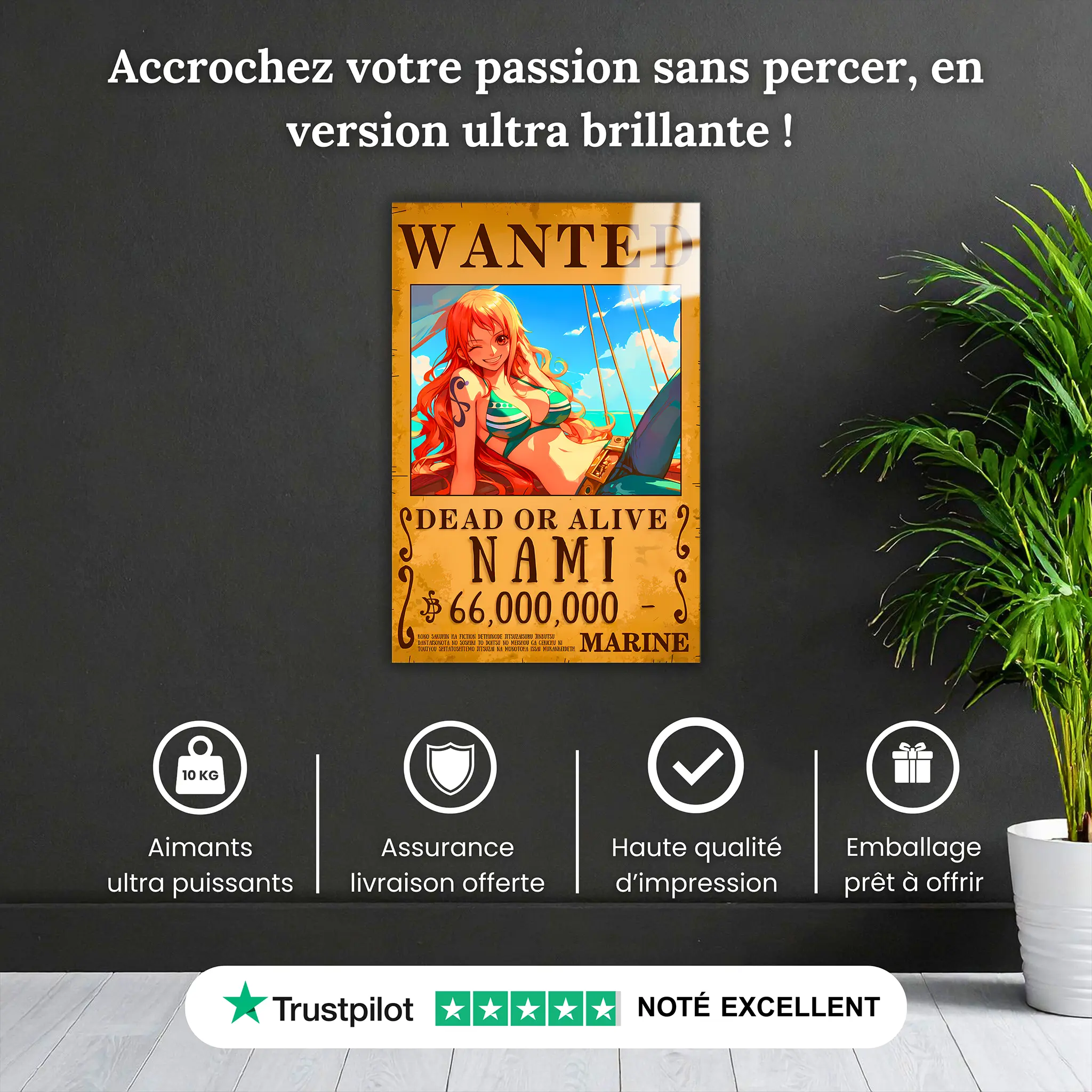tableau-one-piece-wanted-Nami-pourquoi-acheter | DreamWay