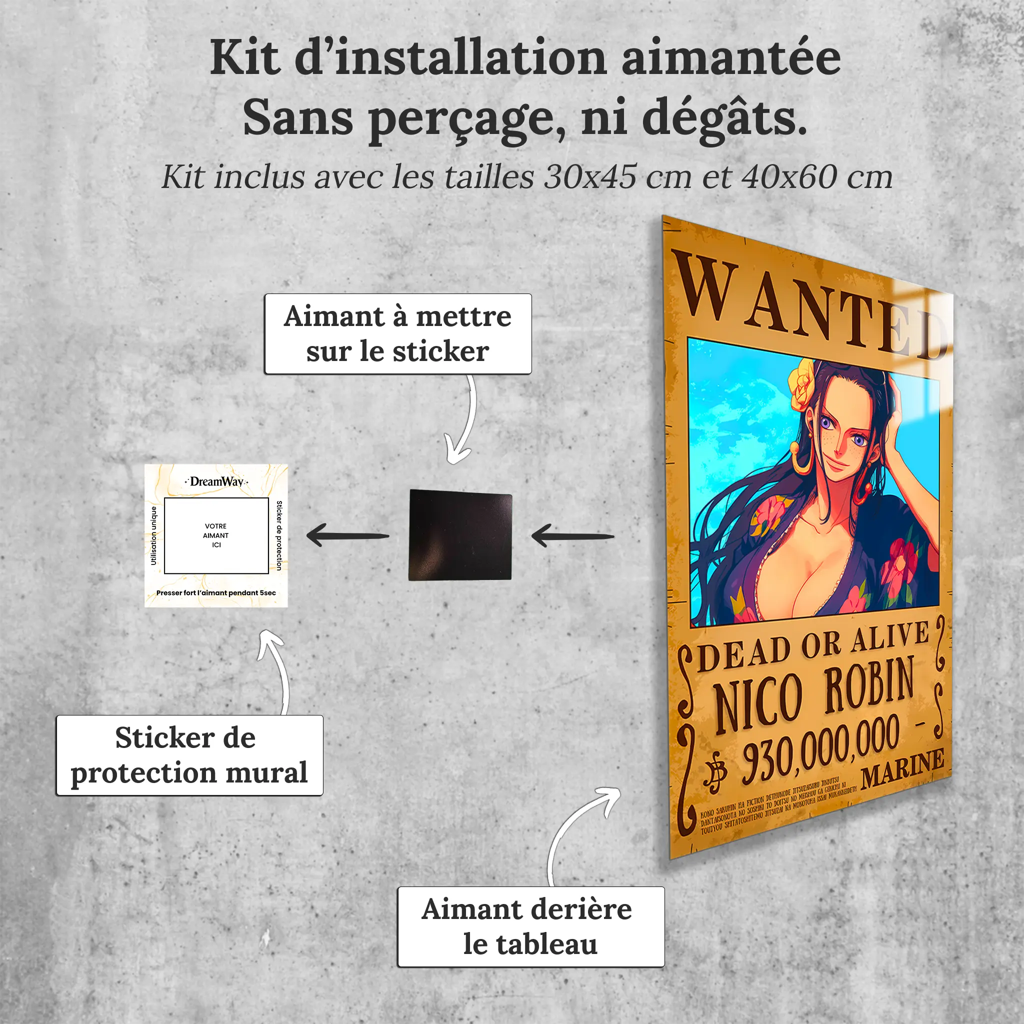 tableau-one-piece-wanted-Nico-Robin-avec-installation-aimantee | DreamWay