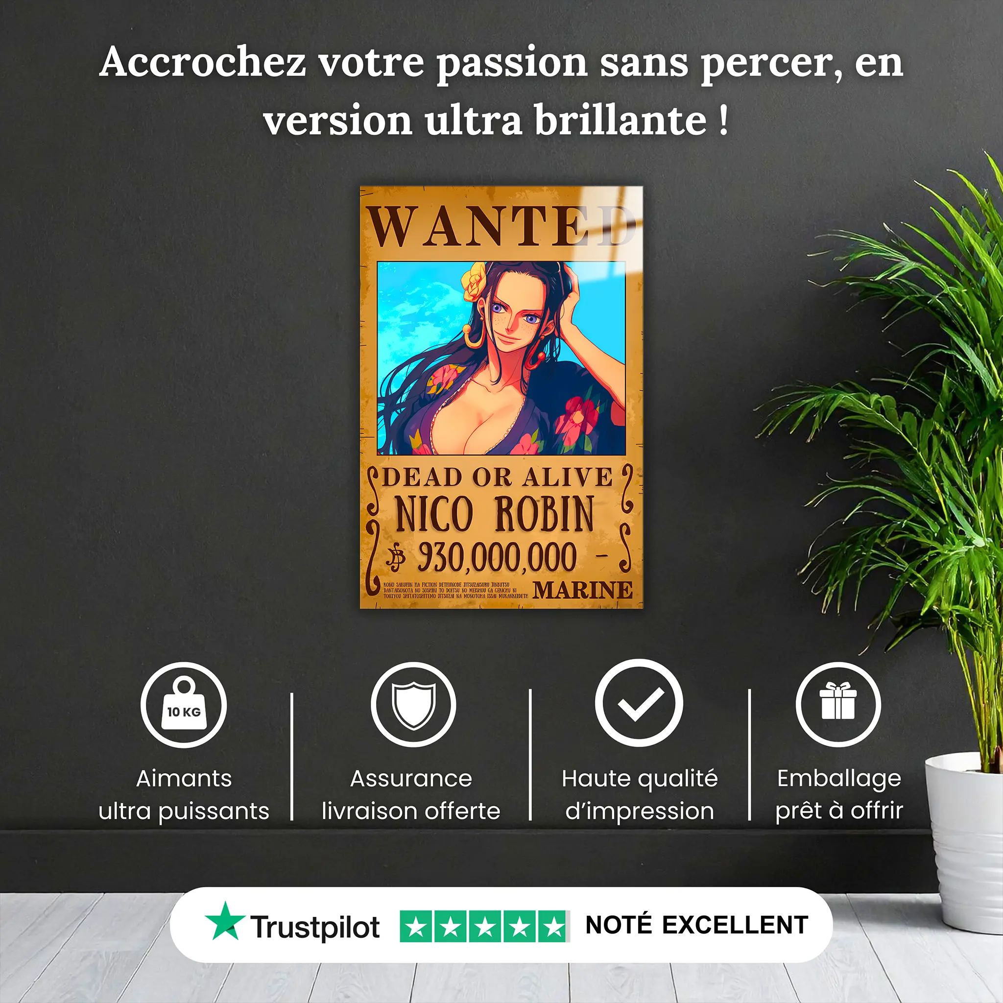 tableau-one-piece-wanted-Nico-Robin-pourquoi-acheter | DreamWay