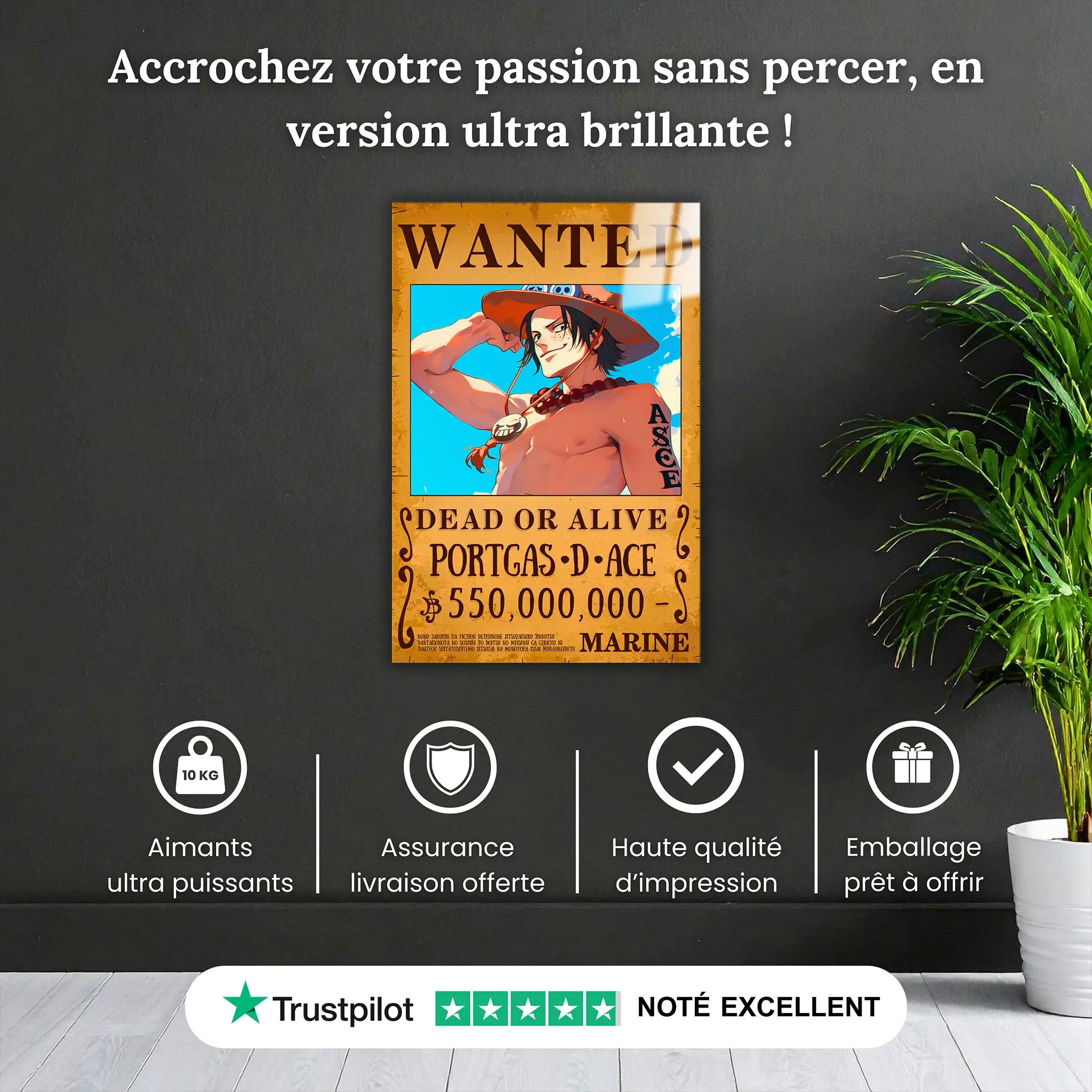 tableau-one-piece-wanted-ace-pourquoi-acheter | DreamWay