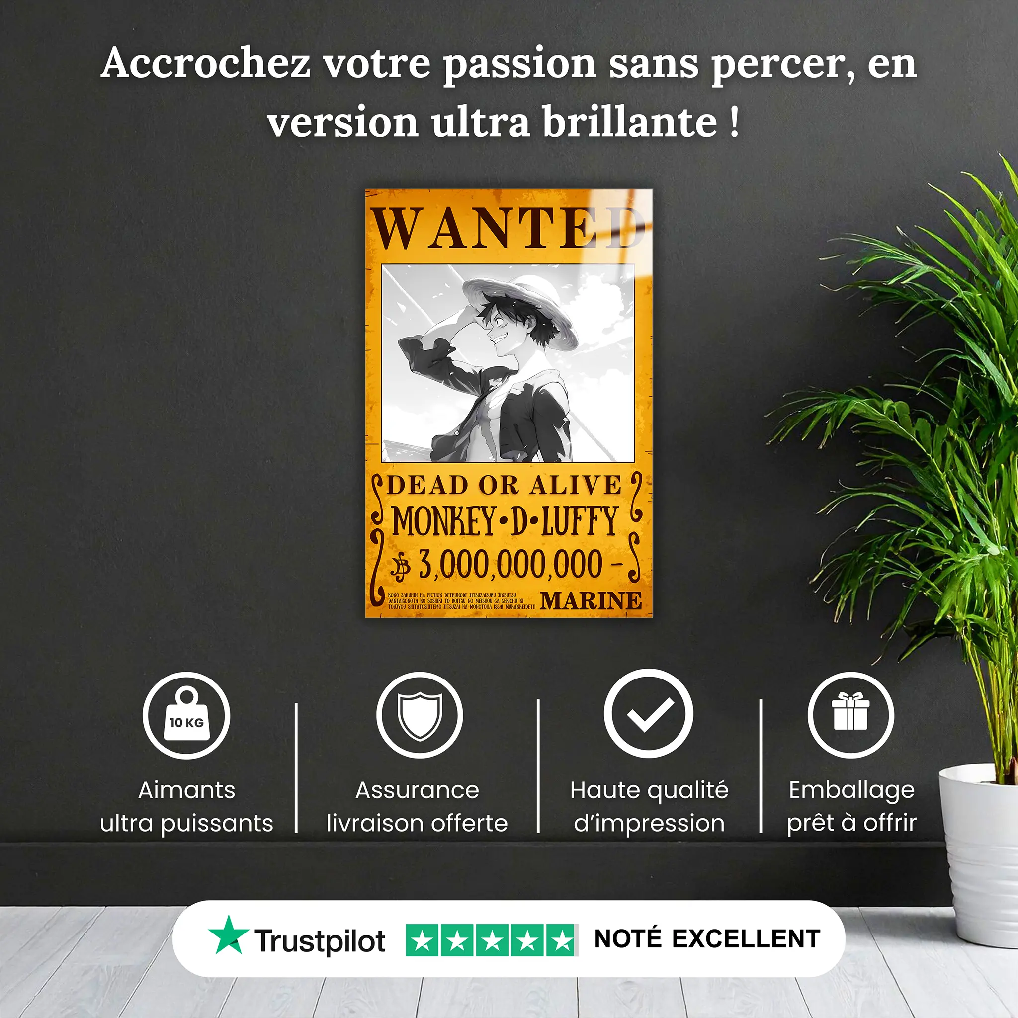 tableau-one-piece-wanted-luffy-noir-et-blanc-pourquoi-acheter | DreamWay