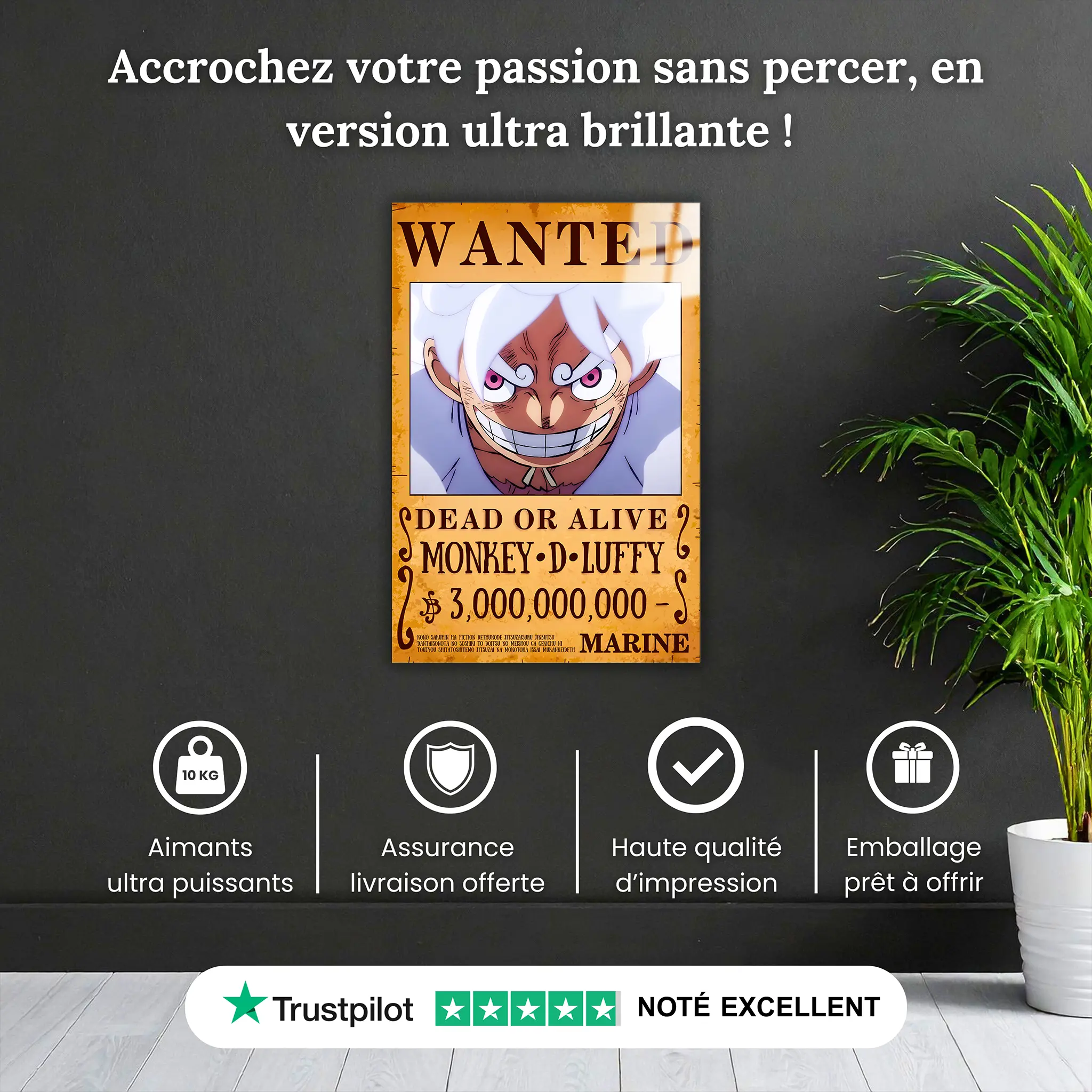 tableau-one-piece-wanted-luffy-pourquoi-acheter | DreamWay