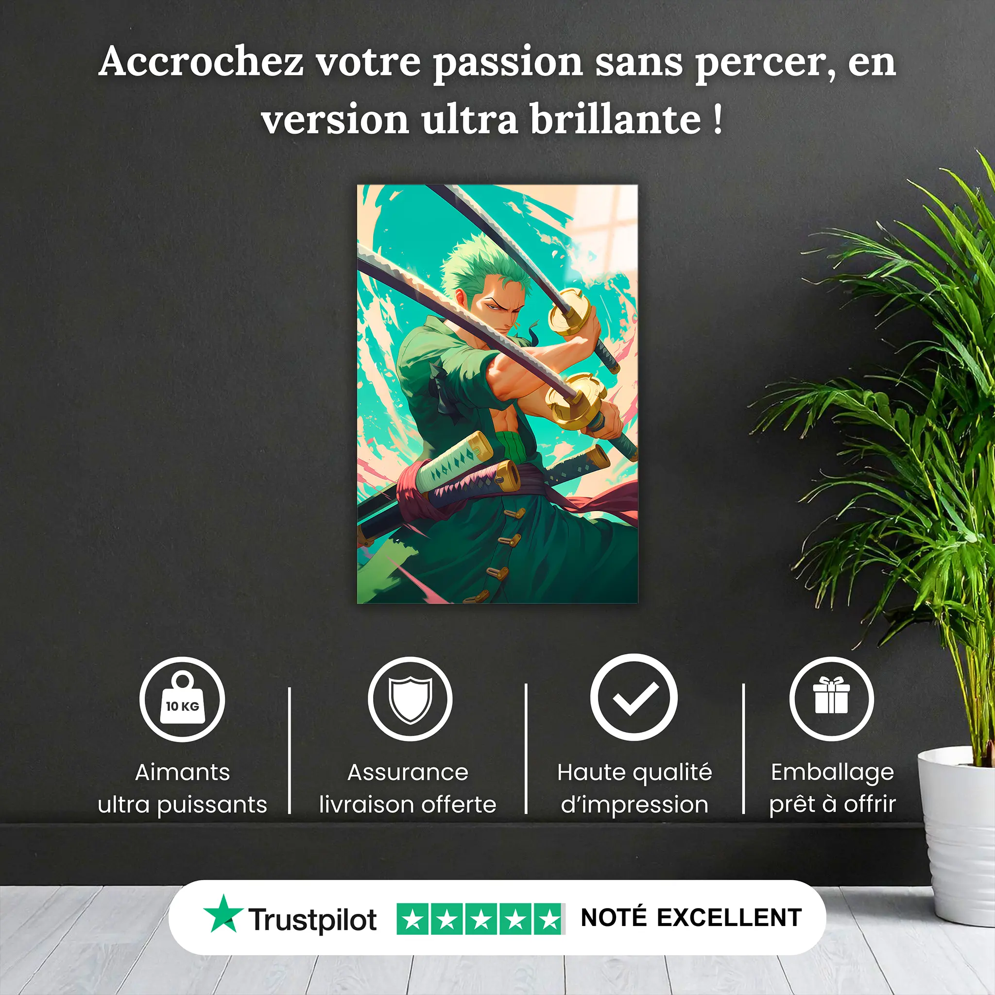 tableau-one-piece-zoro-pourquoi-acheter | DreamWay