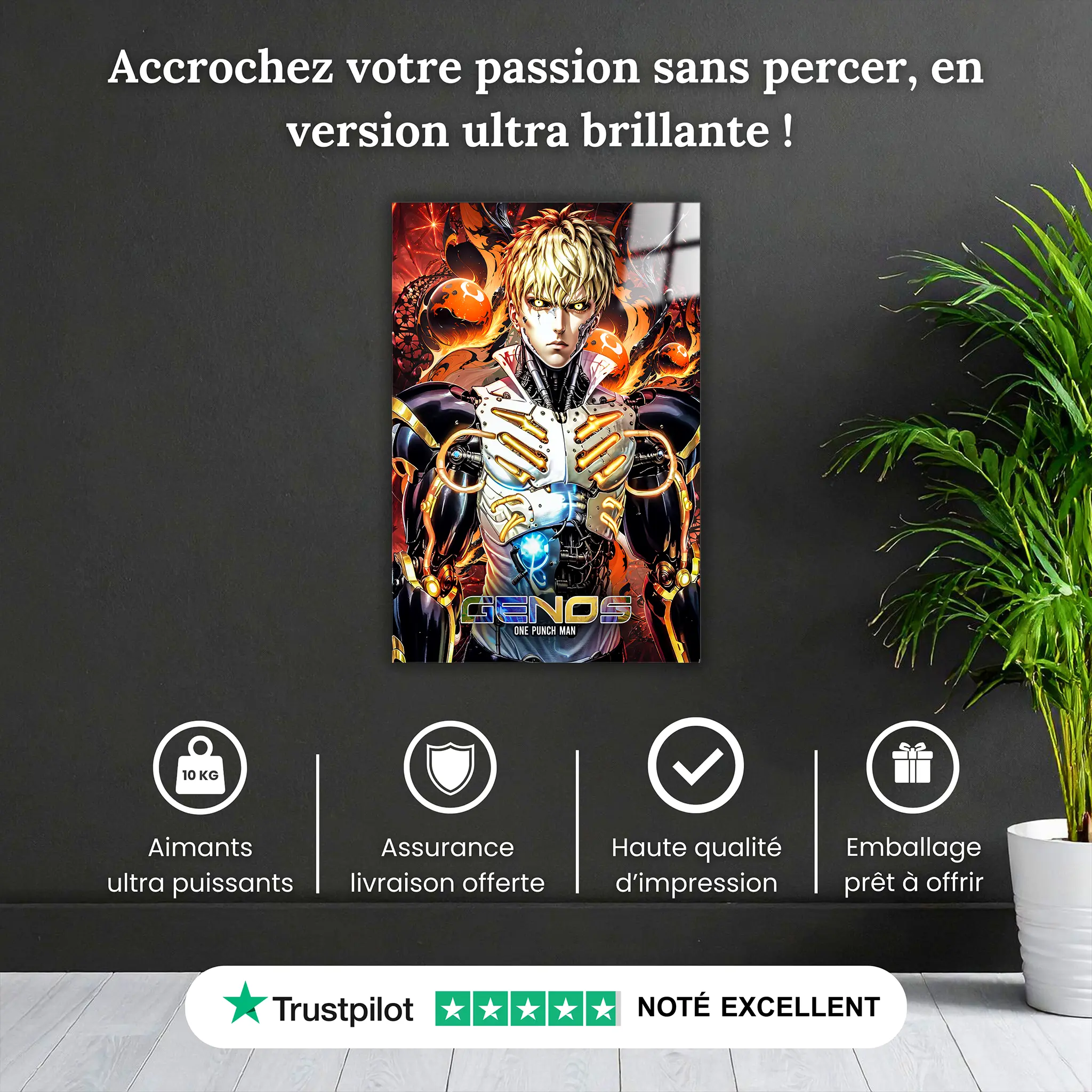 tableau-one-punch-man-genos-pourquoi-acheter | DreamWay