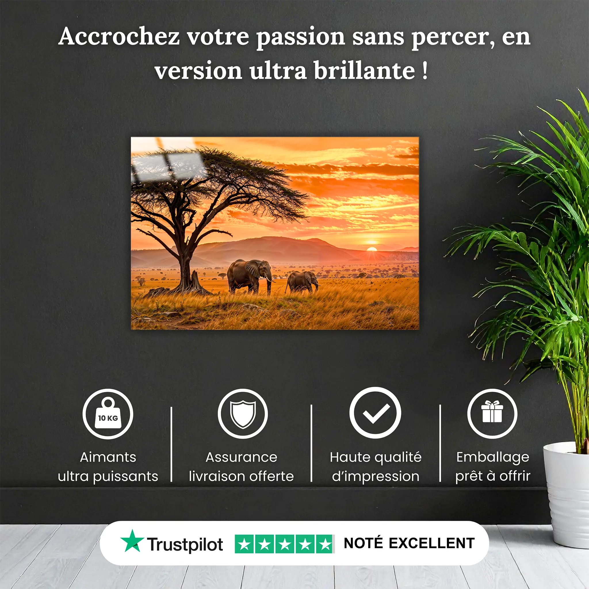 tableau-paysage-africain-4k-pourquoi-acheter | DreamWay