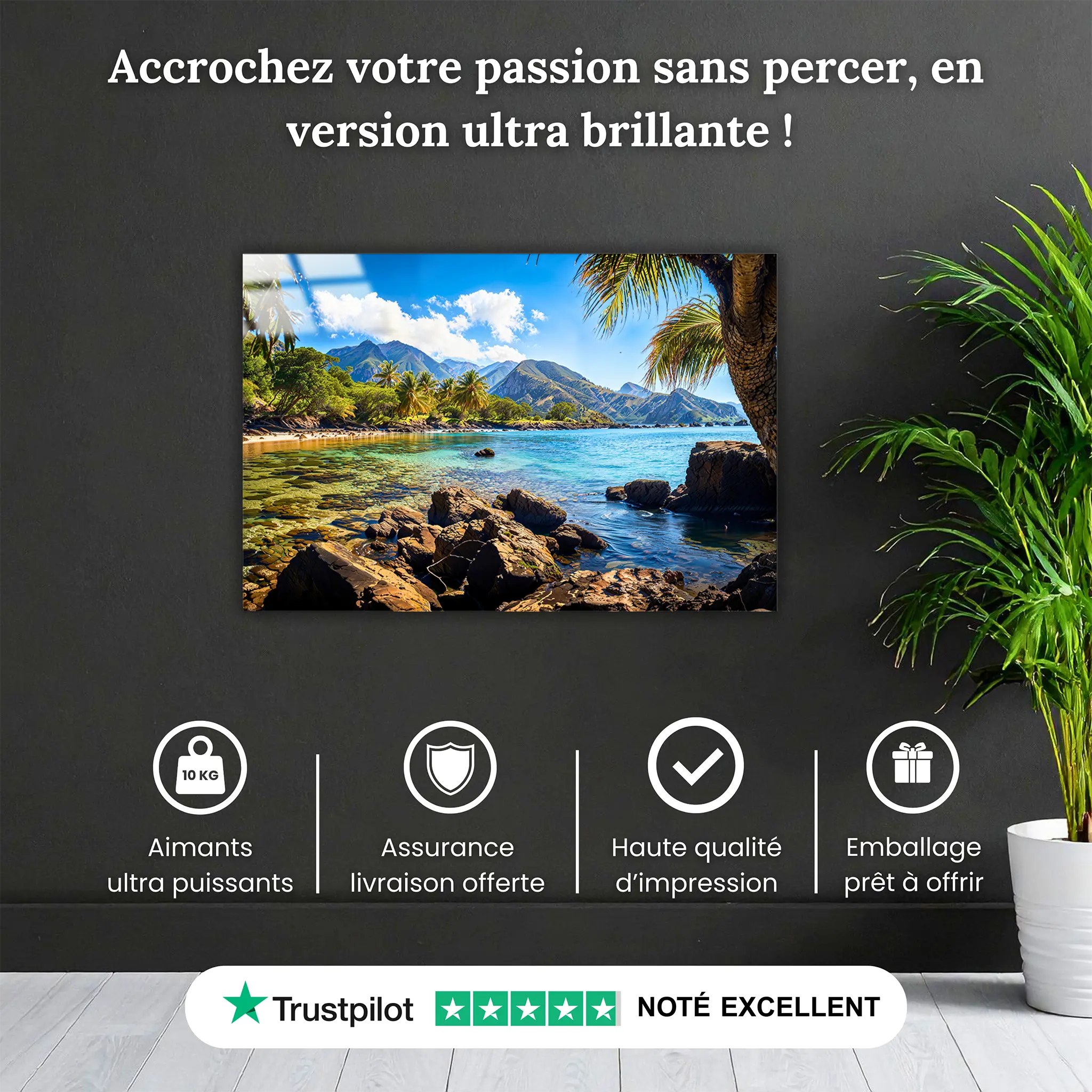 tableau-paysage-antillais-4k-pourquoi-acheter | DreamWay