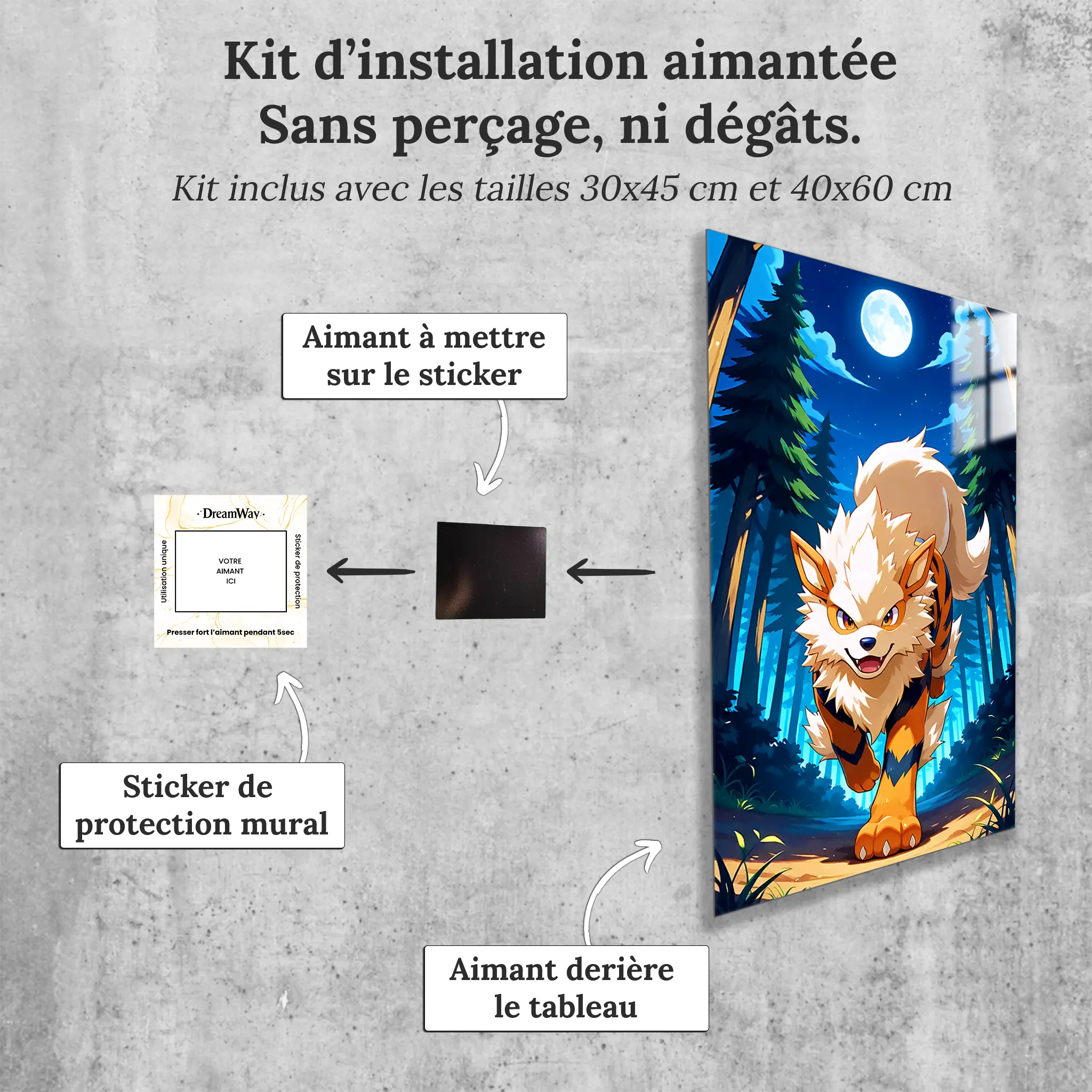 tableau-pokemon-arcanin-clair-de-lune-avec-installation-aimantee | DreamWay