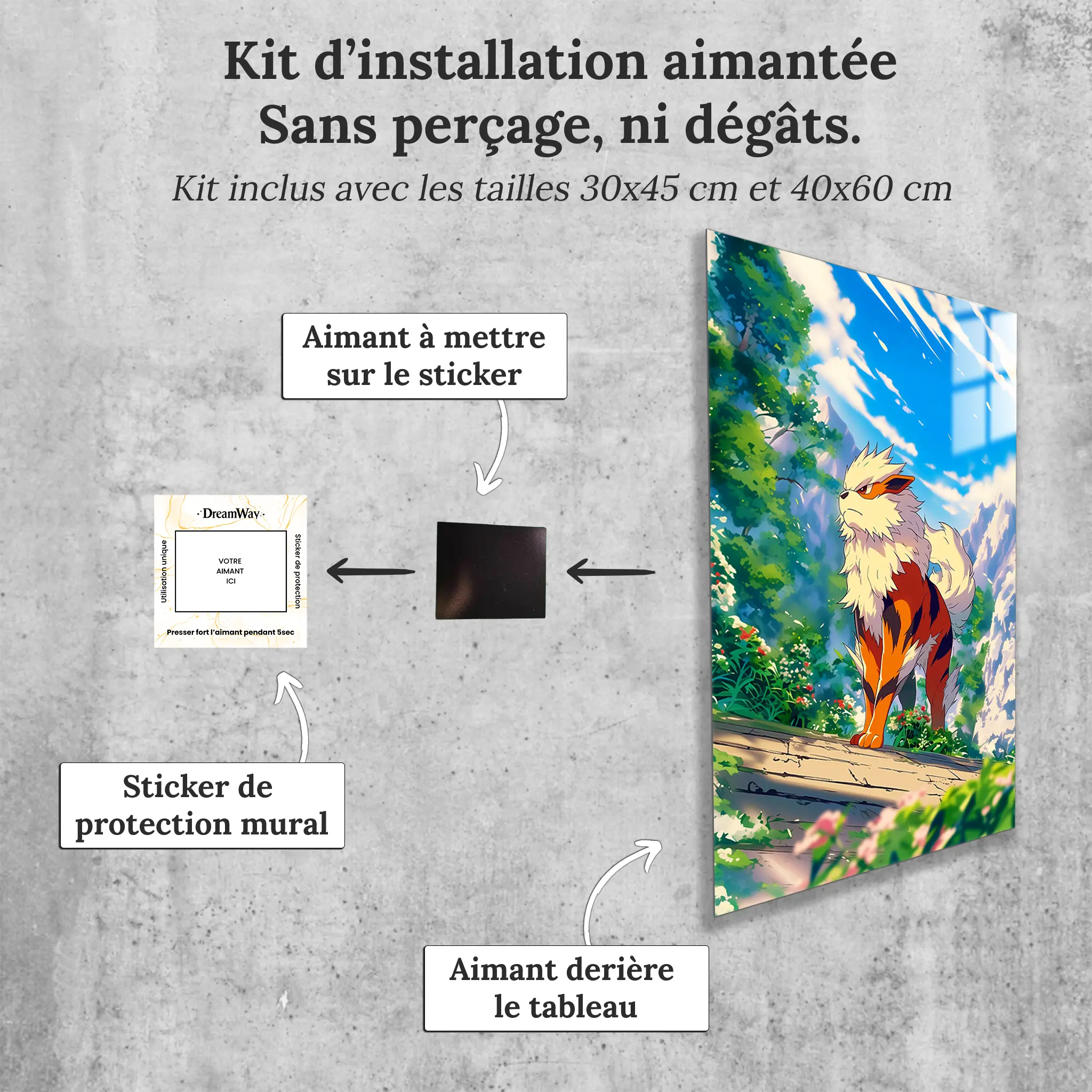tableau-pokemon-arcanin-nature-avec-installation-aimantee | DreamWay