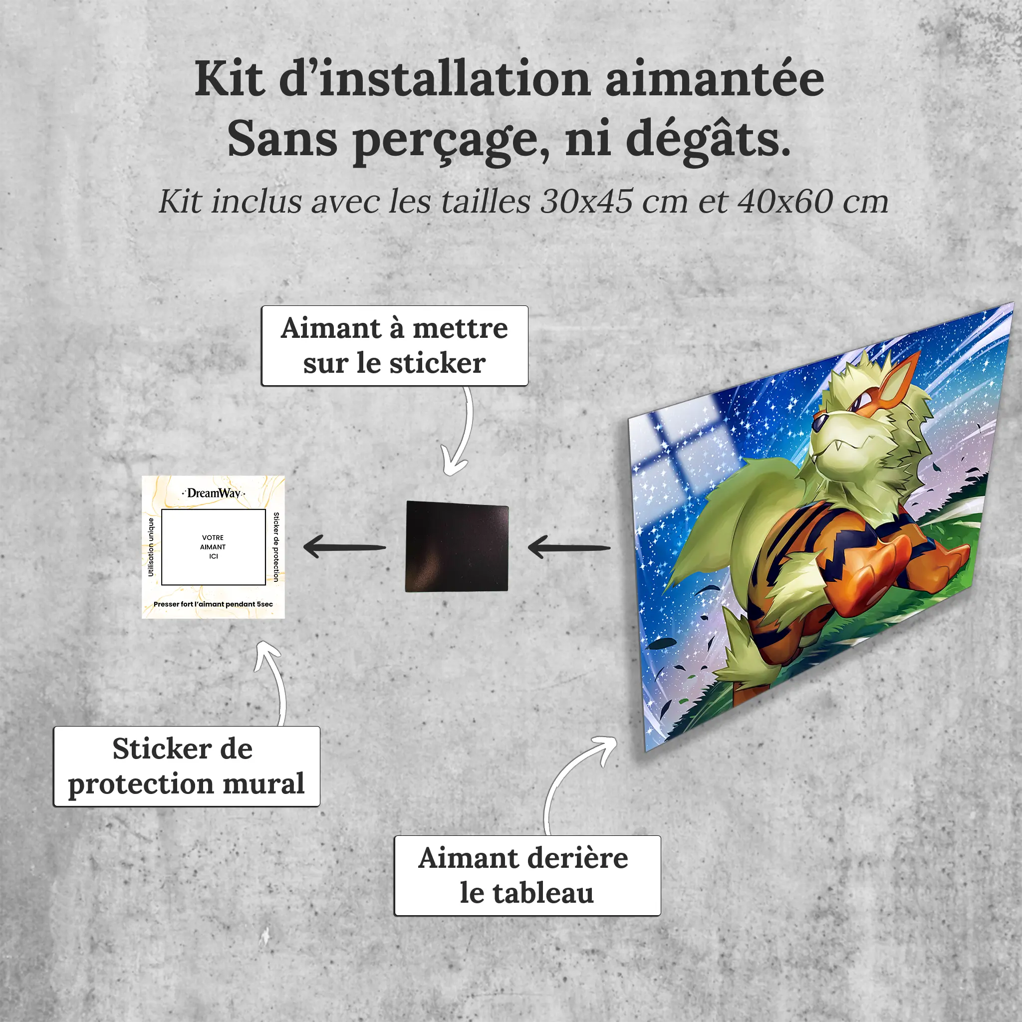 tableau-pokemon-arcanin-nuit-etoilee-avec-installation-aimantee | DreamWay