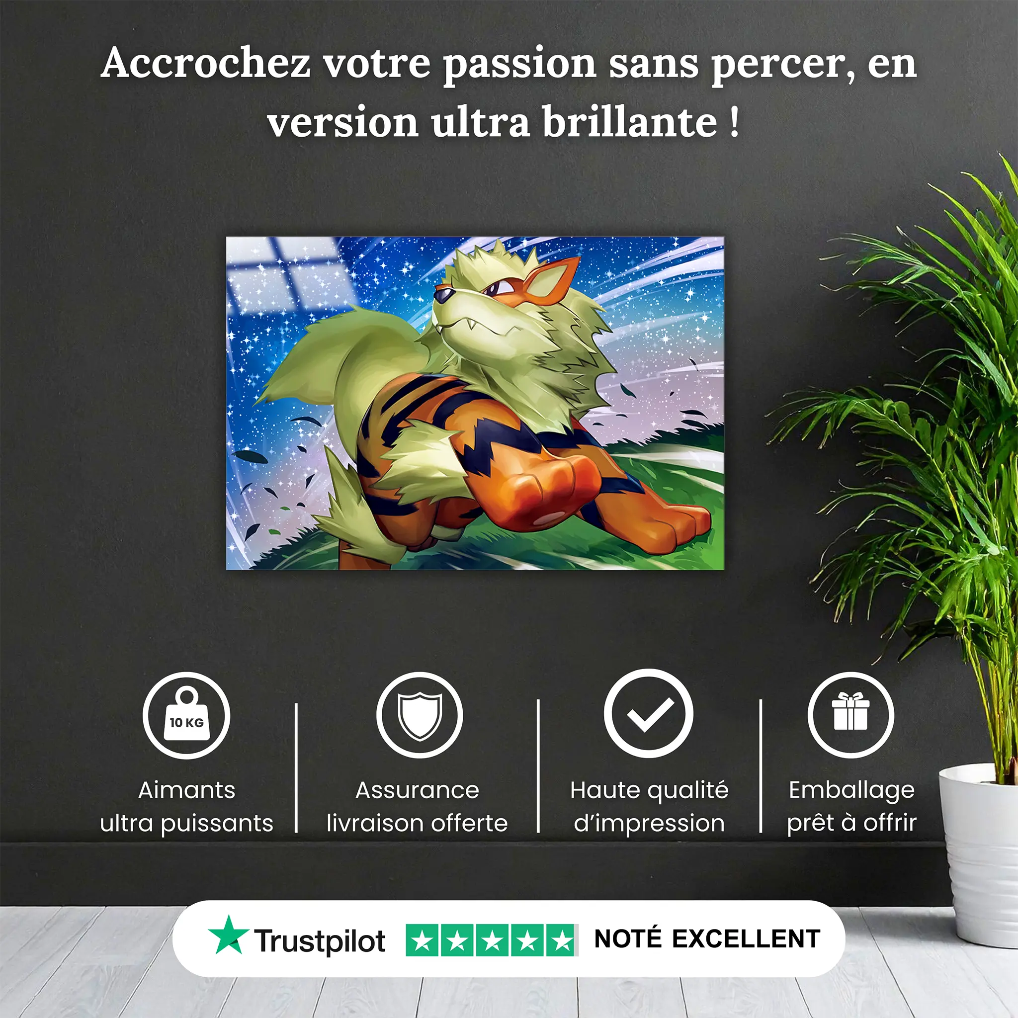 tableau-pokemon-arcanin-nuit-etoilee-pourquoi-acheter | DreamWay