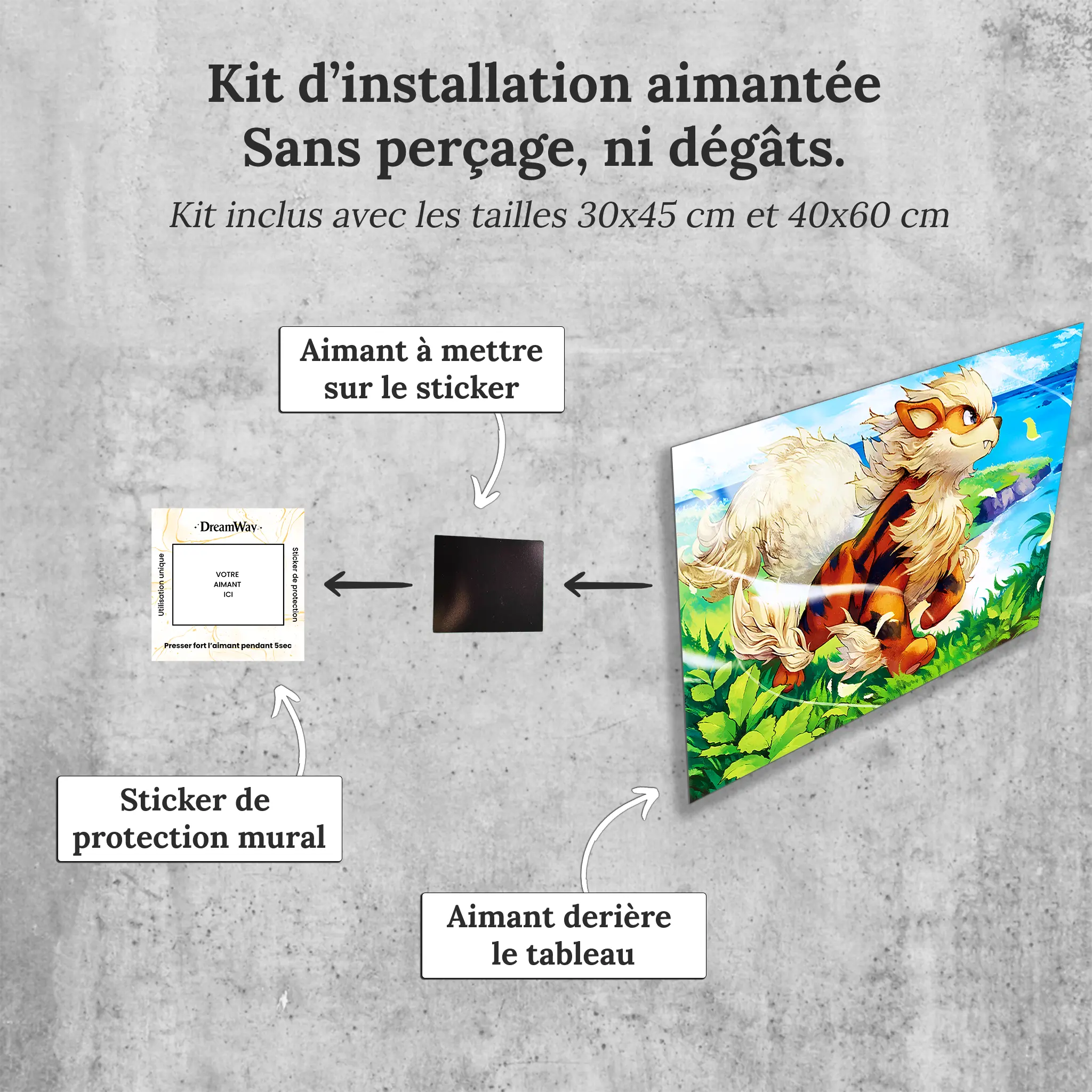 tableau-pokemon-arcanin-paysage-avec-installation-aimantee | DreamWay