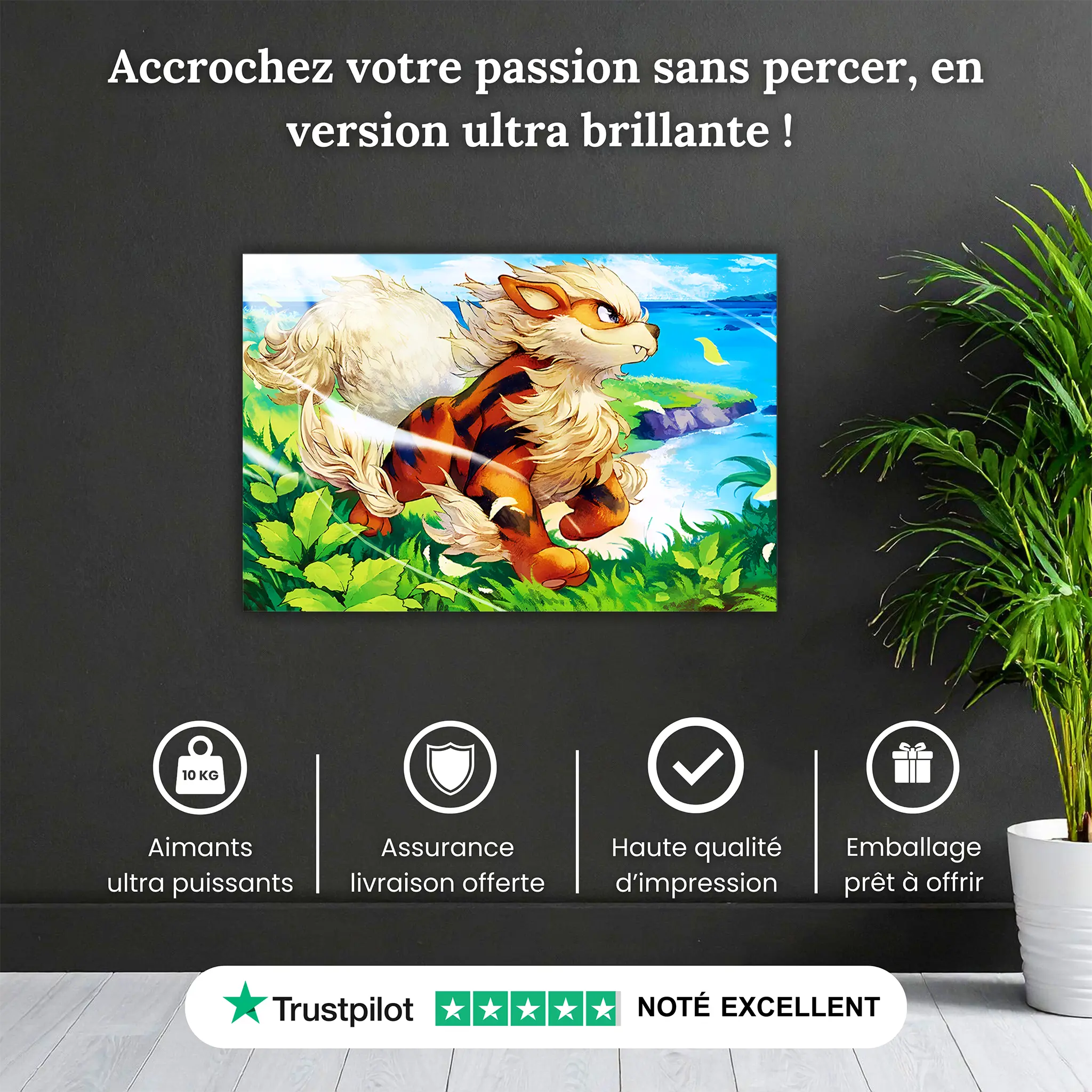 tableau-pokemon-arcanin-paysage-pourquoi-acheter | DreamWay