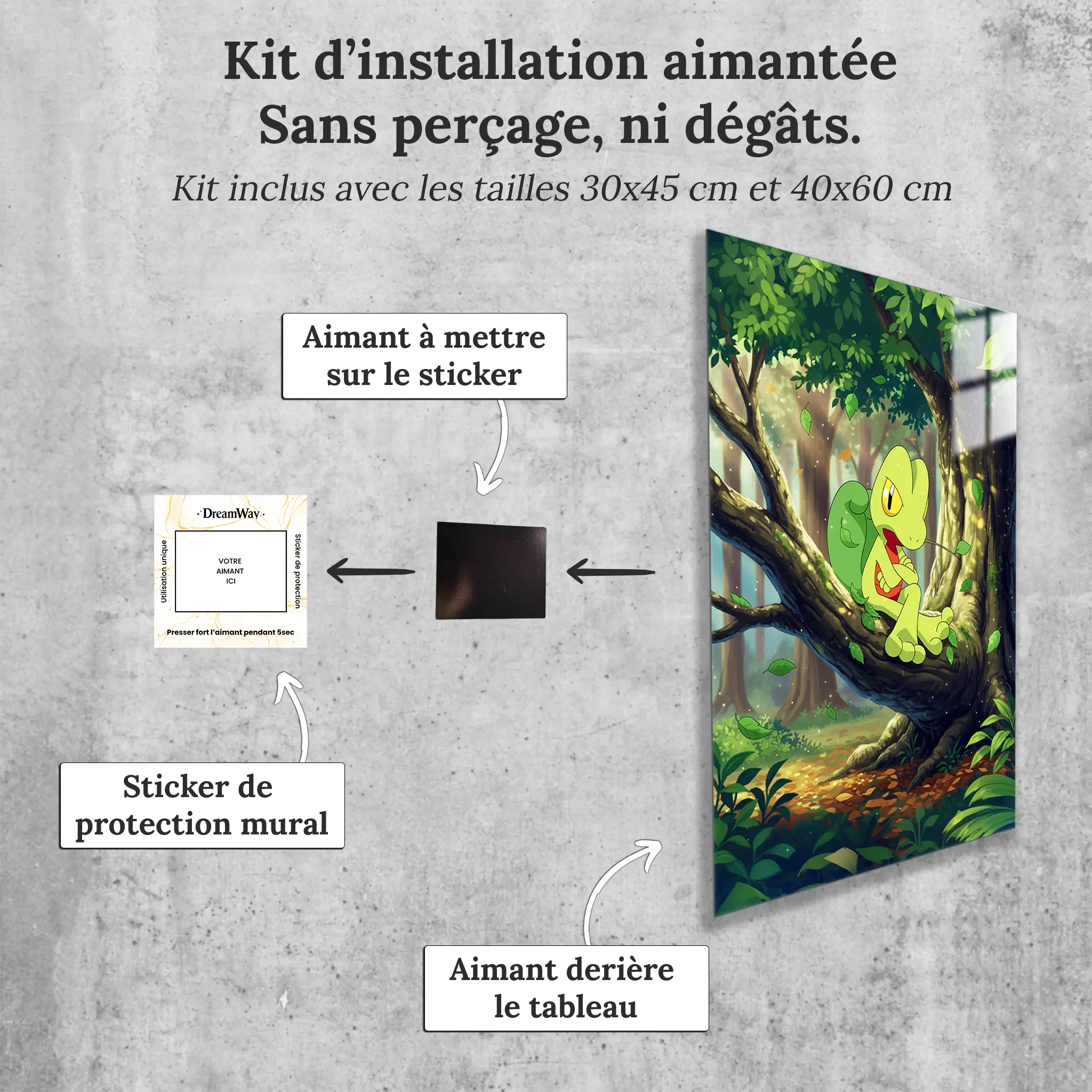 tableau-pokemon-arcko-avec-installation-aimantee | DreamWay