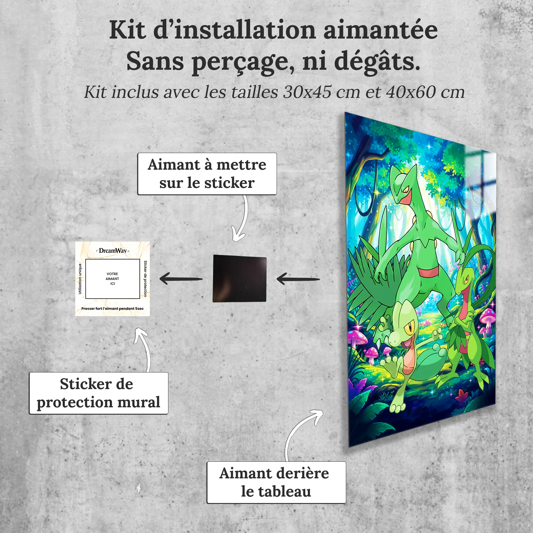 tableau-pokemon-arcko-et-ses-evolutions-avec-installation-aimantee | DreamWay