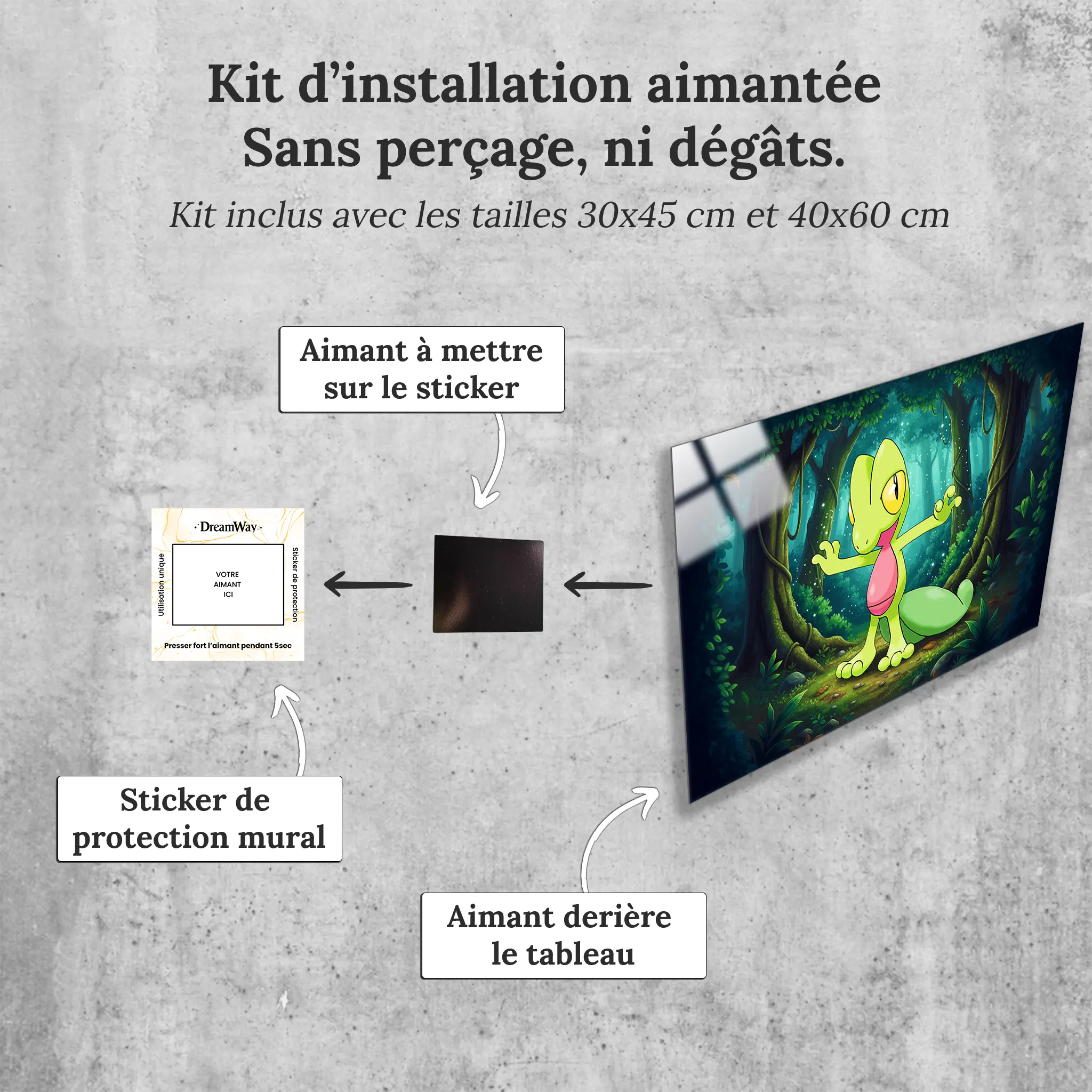 tableau-pokemon-arcko-paysage-avec-installation-aimantee | DreamWay