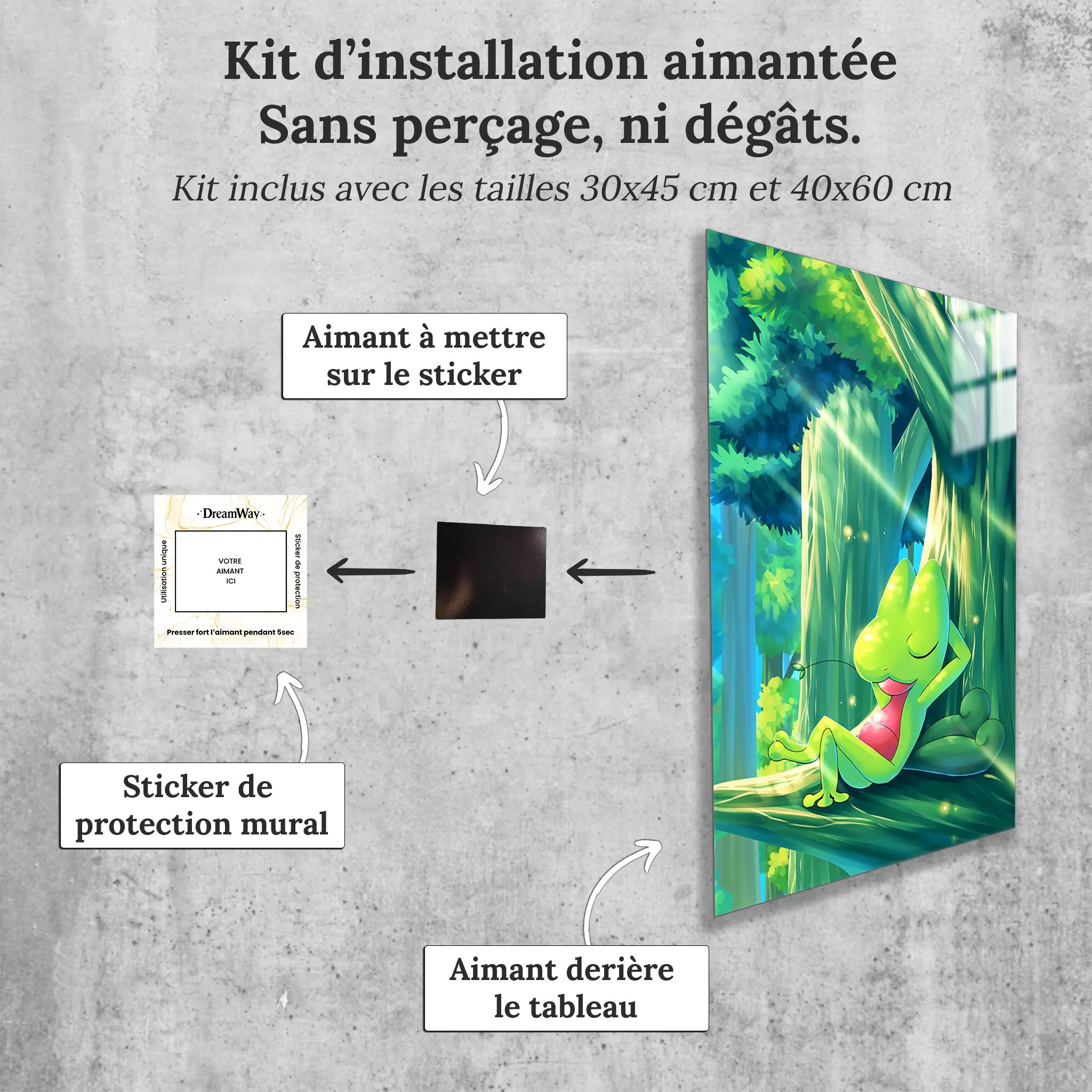 tableau-pokemon-arcko-sieste-avec-installation-aimantee | DreamWay