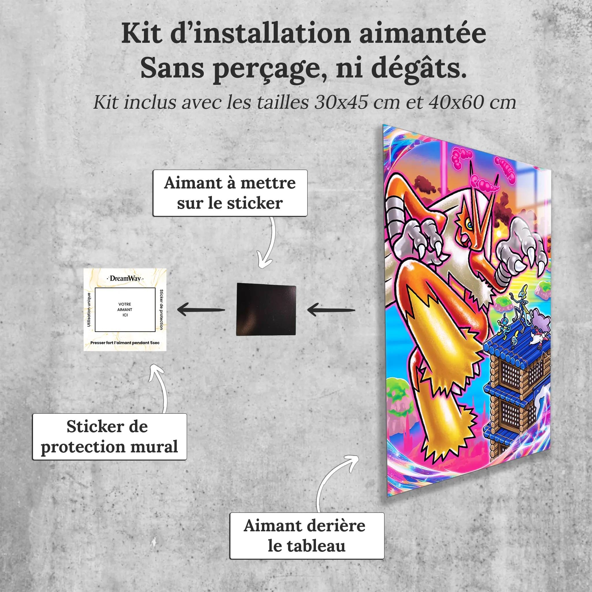 tableau-pokemon-brasegali-colore-avec-installation-aimantee | DreamWay