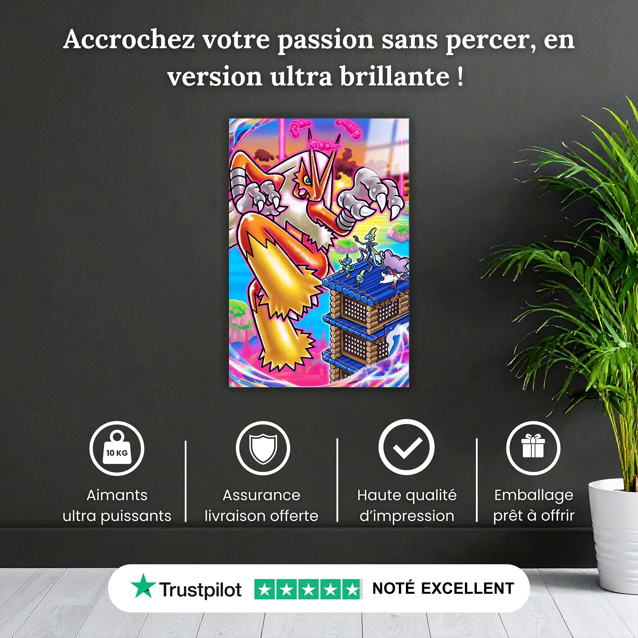 tableau-pokemon-brasegali-colore-pourquoi-acheter | DreamWay