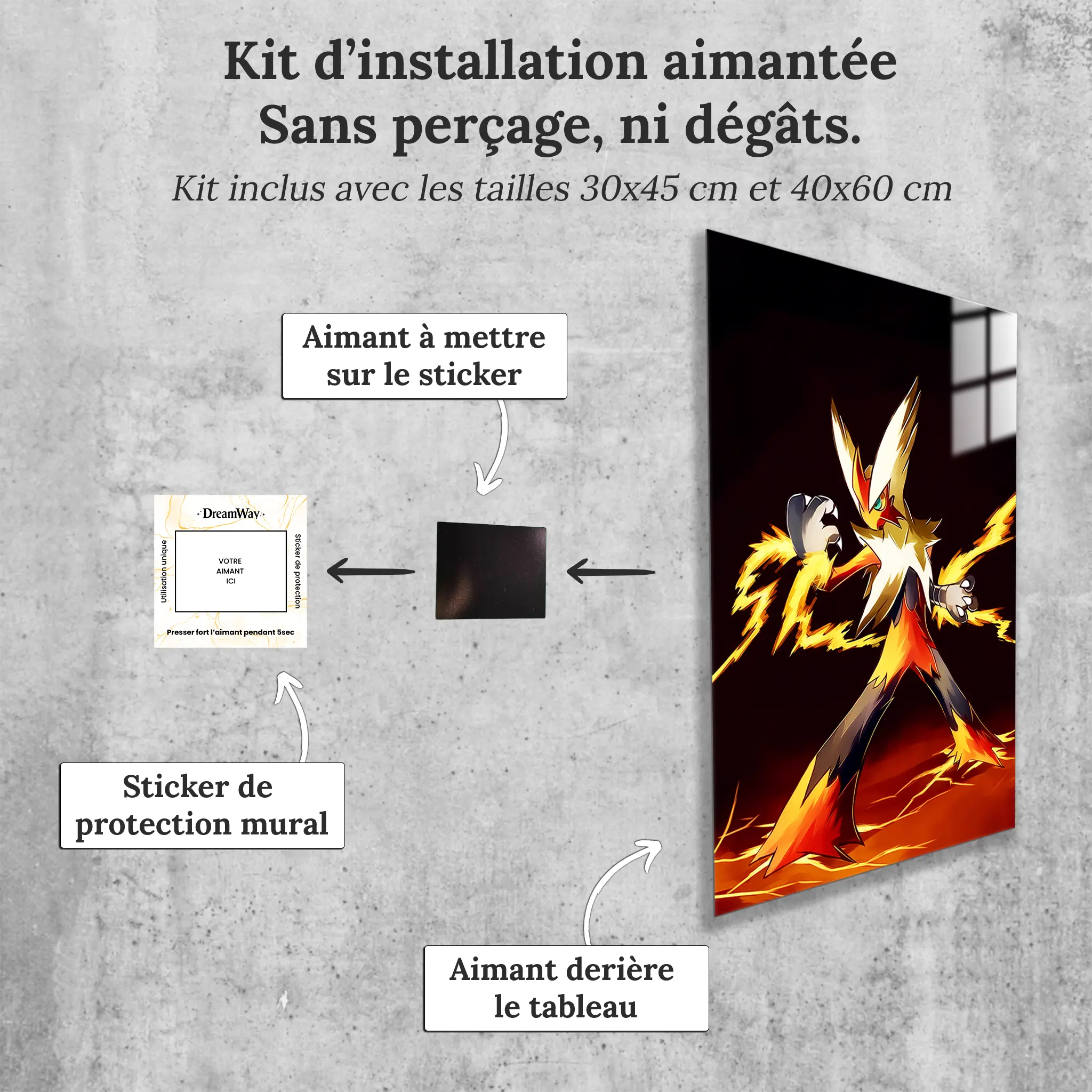 tableau-pokemon-brasegali-deflagration-avec-installation-aimantee | DreamWay