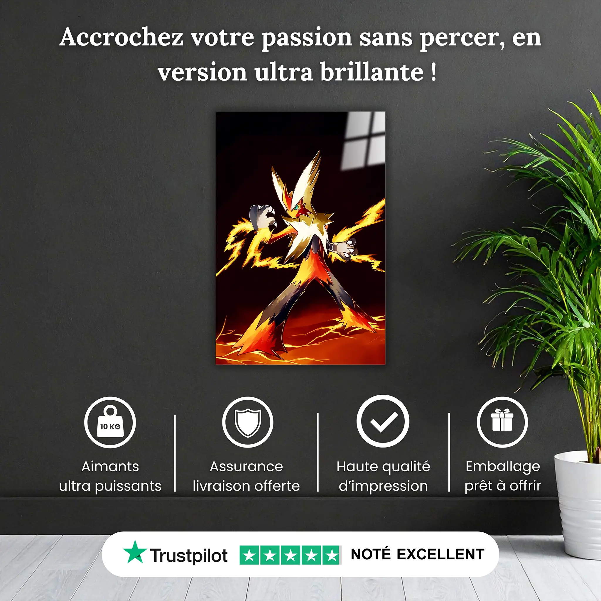 tableau-pokemon-brasegali-deflagration-pourquoi-acheter | DreamWay