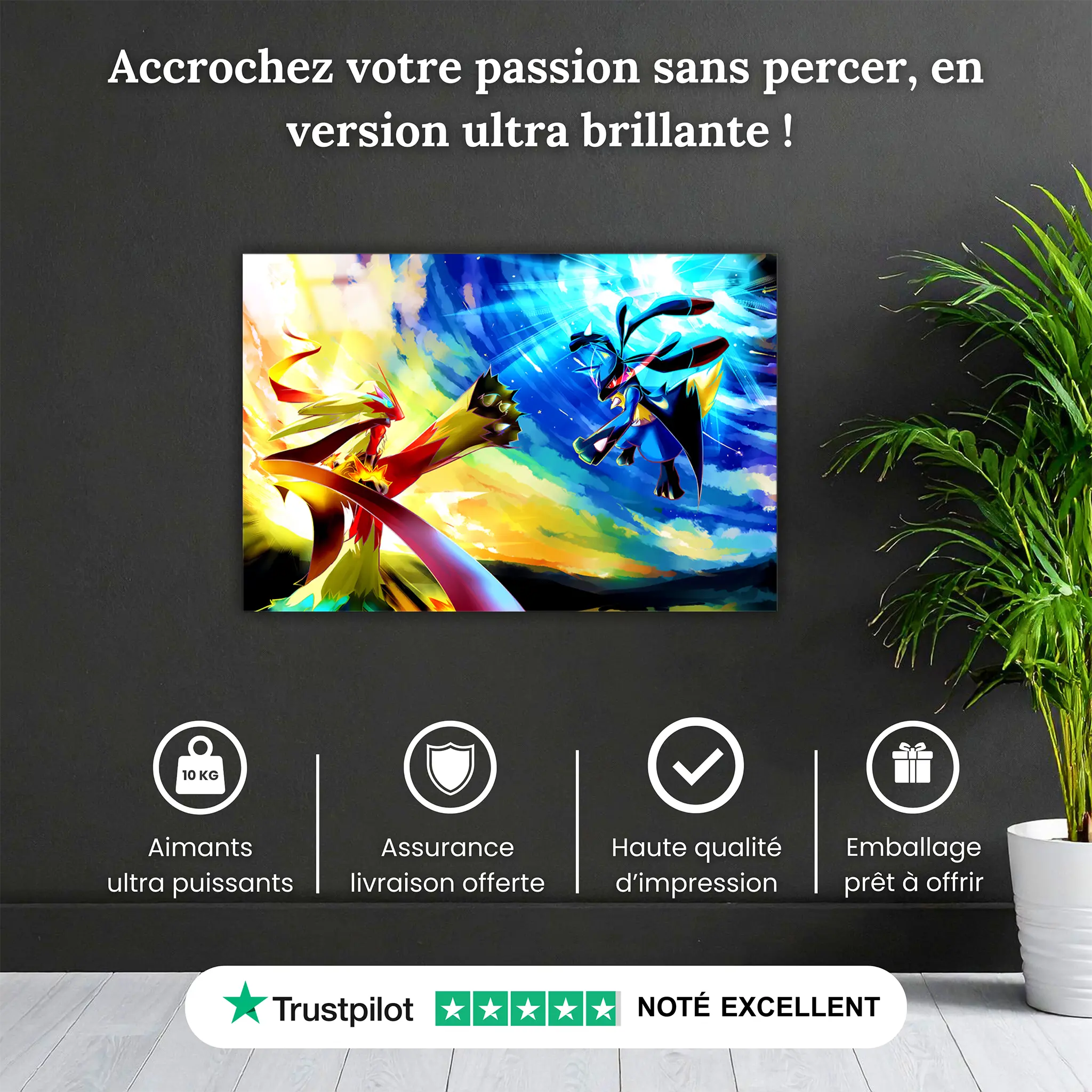 tableau-pokemon-brasegali-et-lucario-combat-pourquoi-acheter | DreamWay