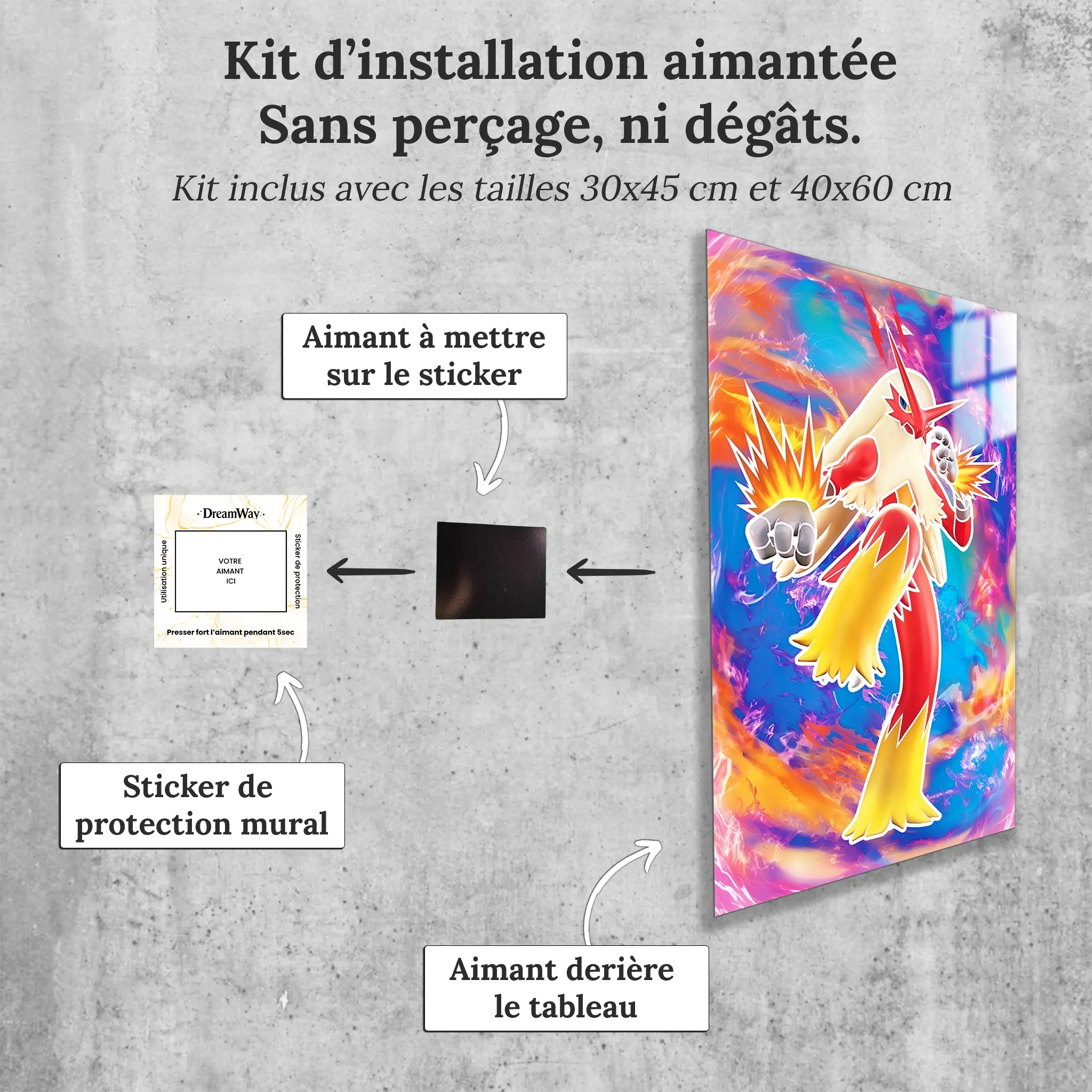 tableau-pokemon-brasegali-pied-voltige-avec-installation-aimantee | DreamWay