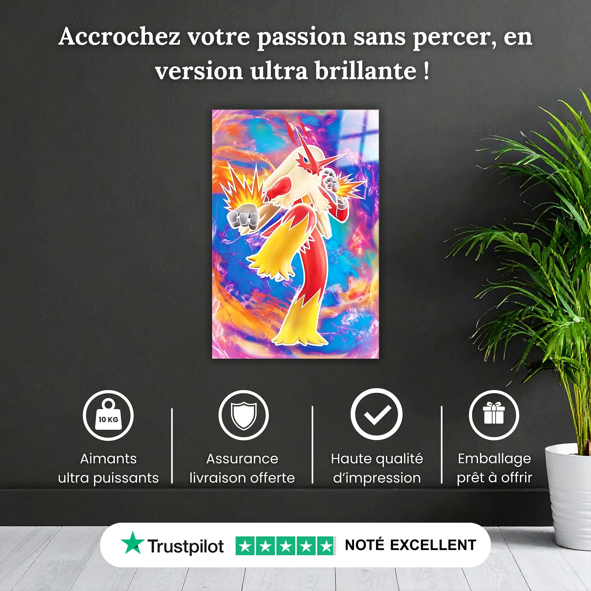 tableau-pokemon-brasegali-pied-voltige-pourquoi-acheter | DreamWay