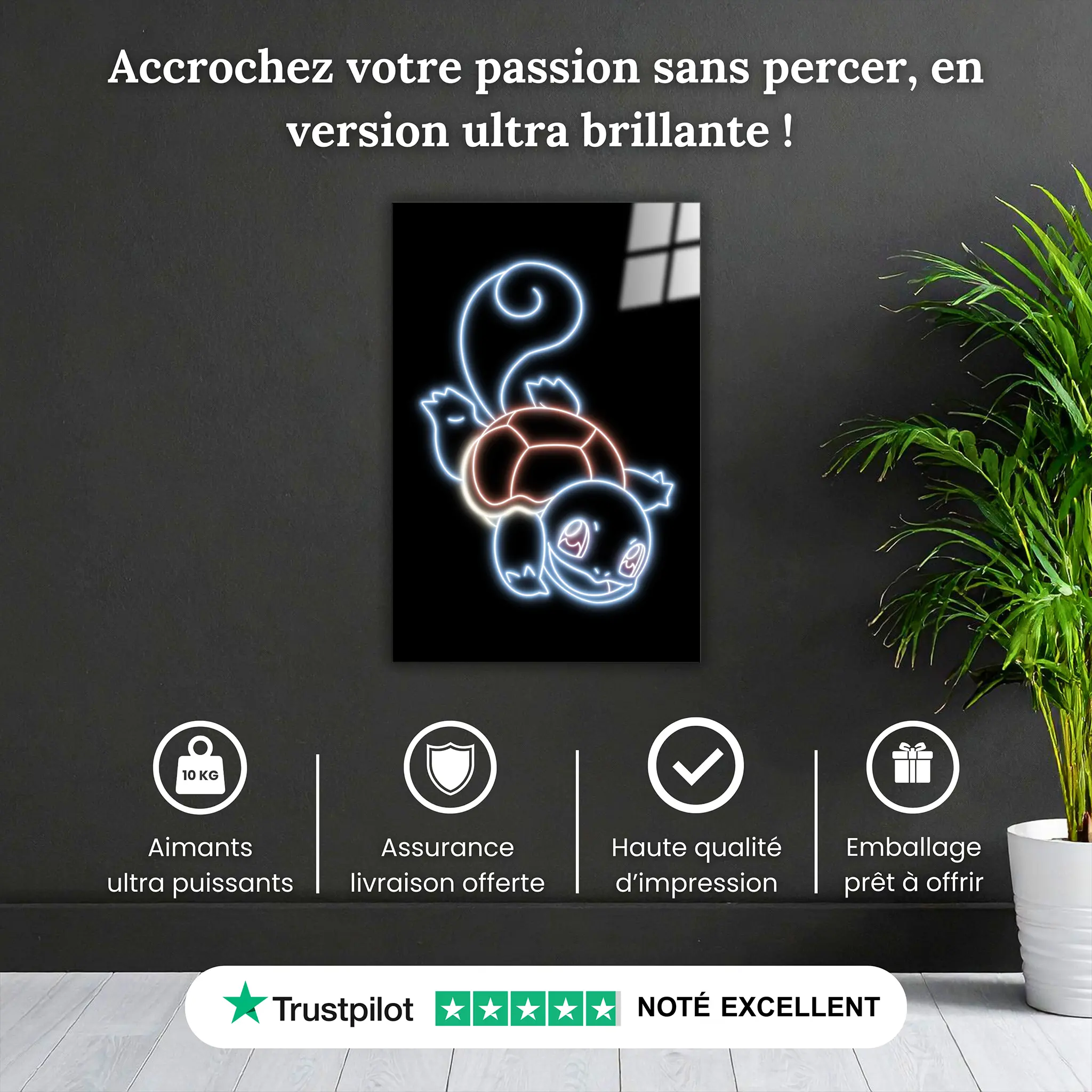 tableau-pokemon-carapuce-neon-pourquoi-acheter | DreamWay