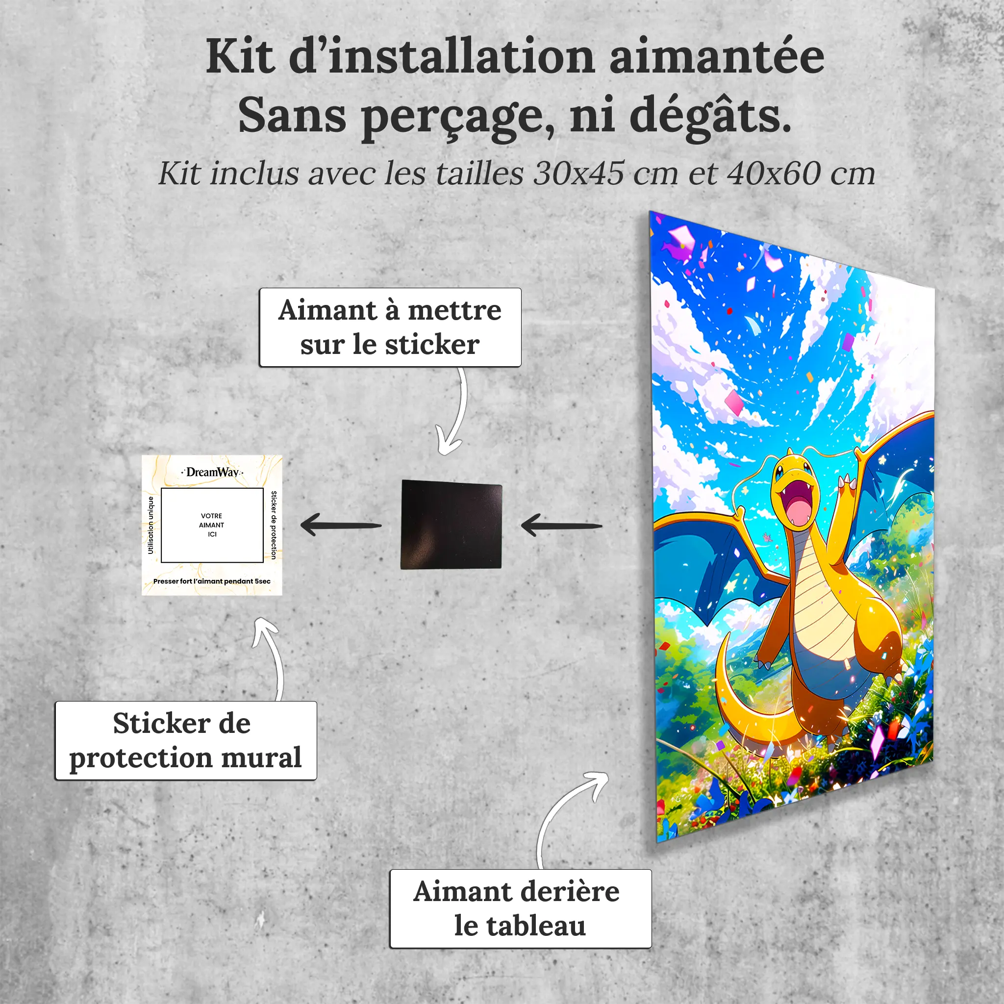 tableau-pokemon-dracolosse-avec-installation-aimantee | DreamWay