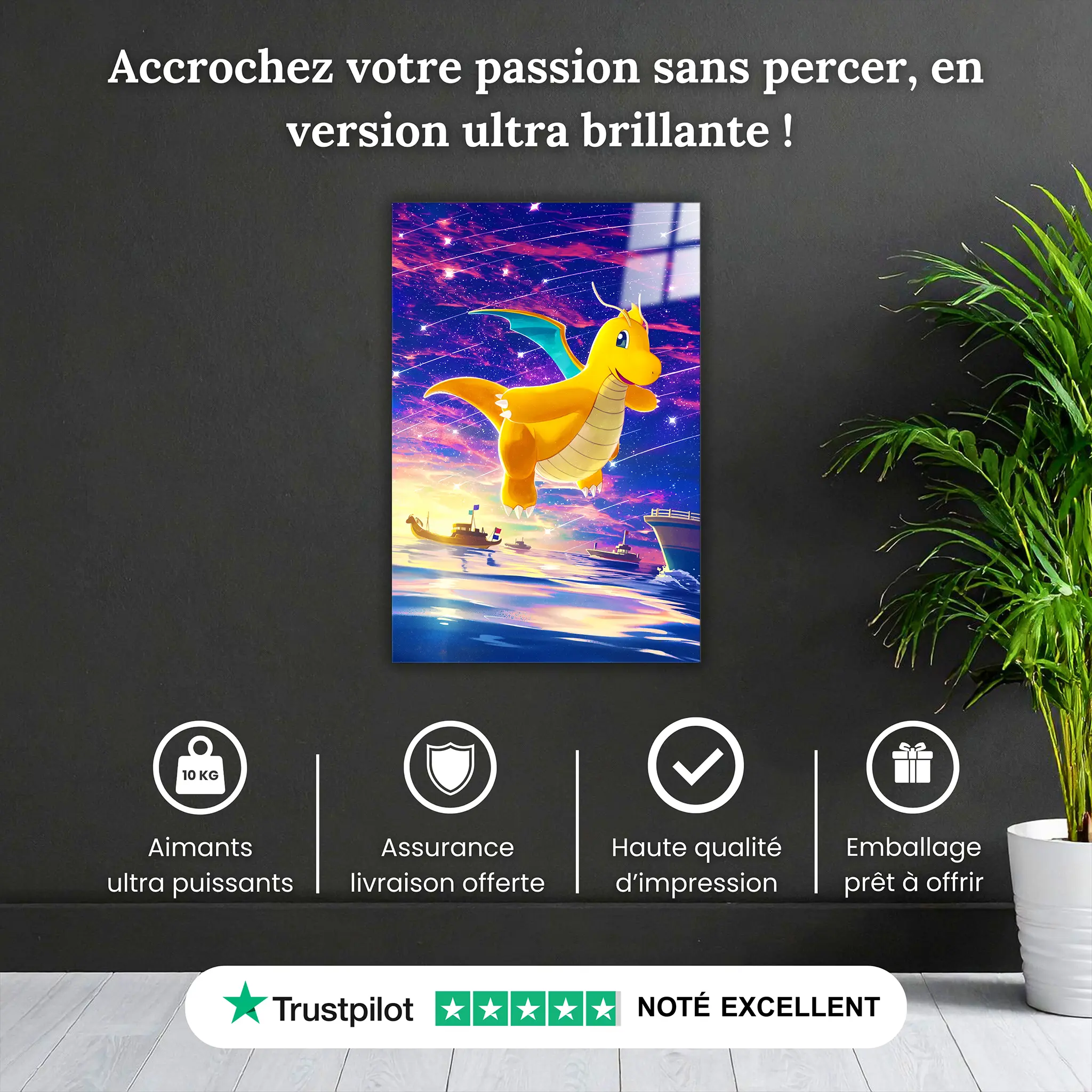 tableau-pokemon-dracolosse-meteor-pourquoi-acheter | DreamWay
