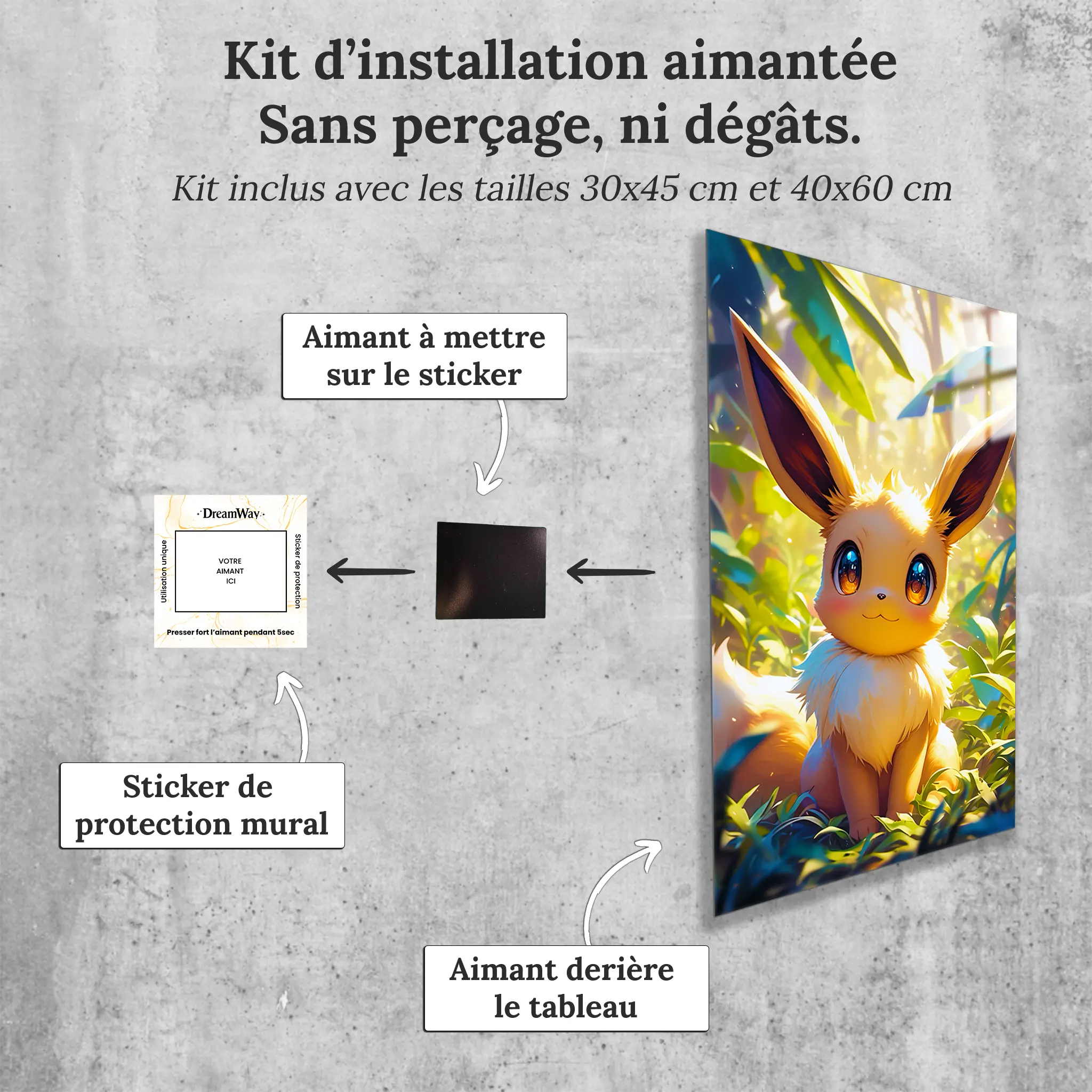 tableau-pokemon-evoli-avec-installation-aimantee | DreamWay