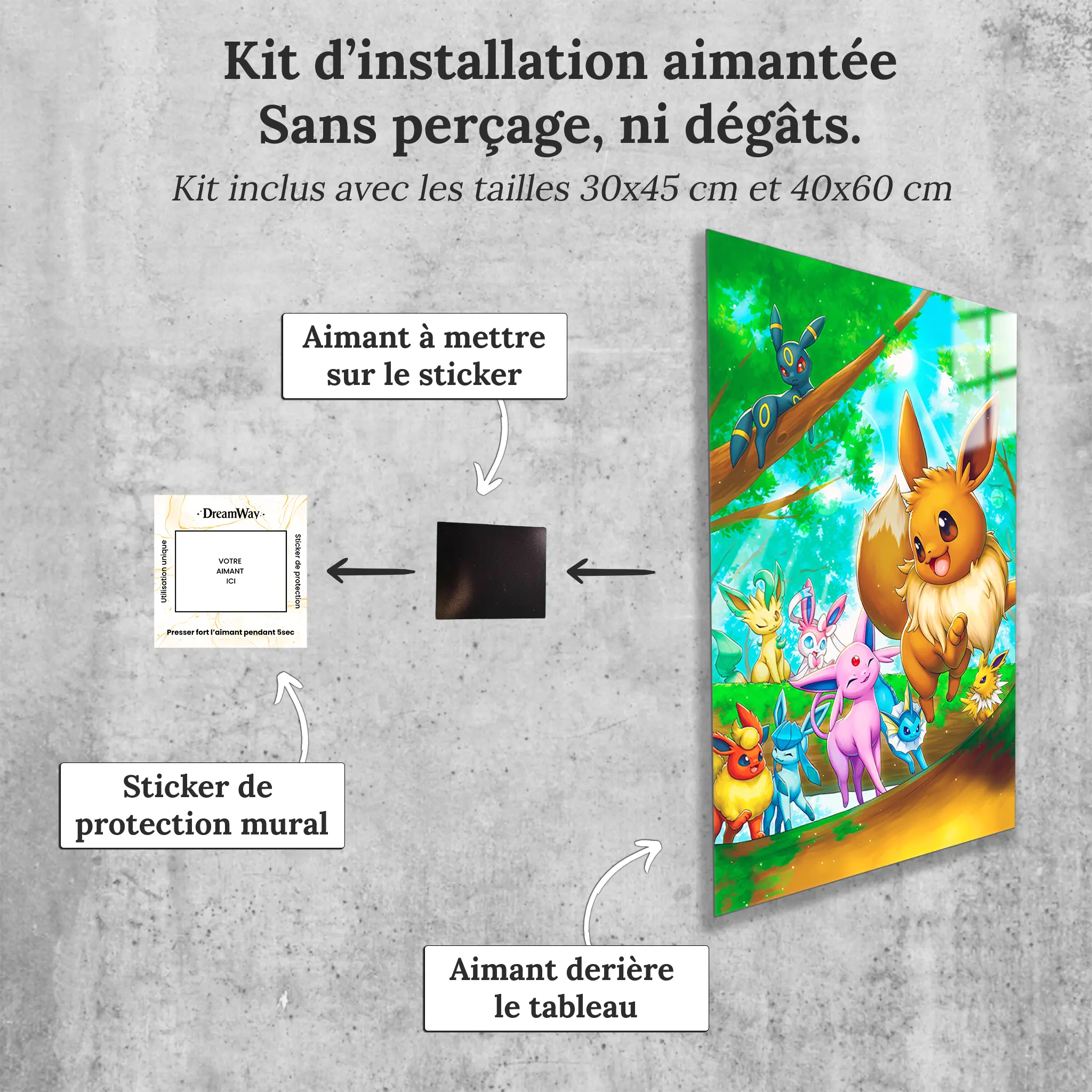 tableau-pokemon-evoli-et-cie-avec-installation-aimantee | DreamWay
