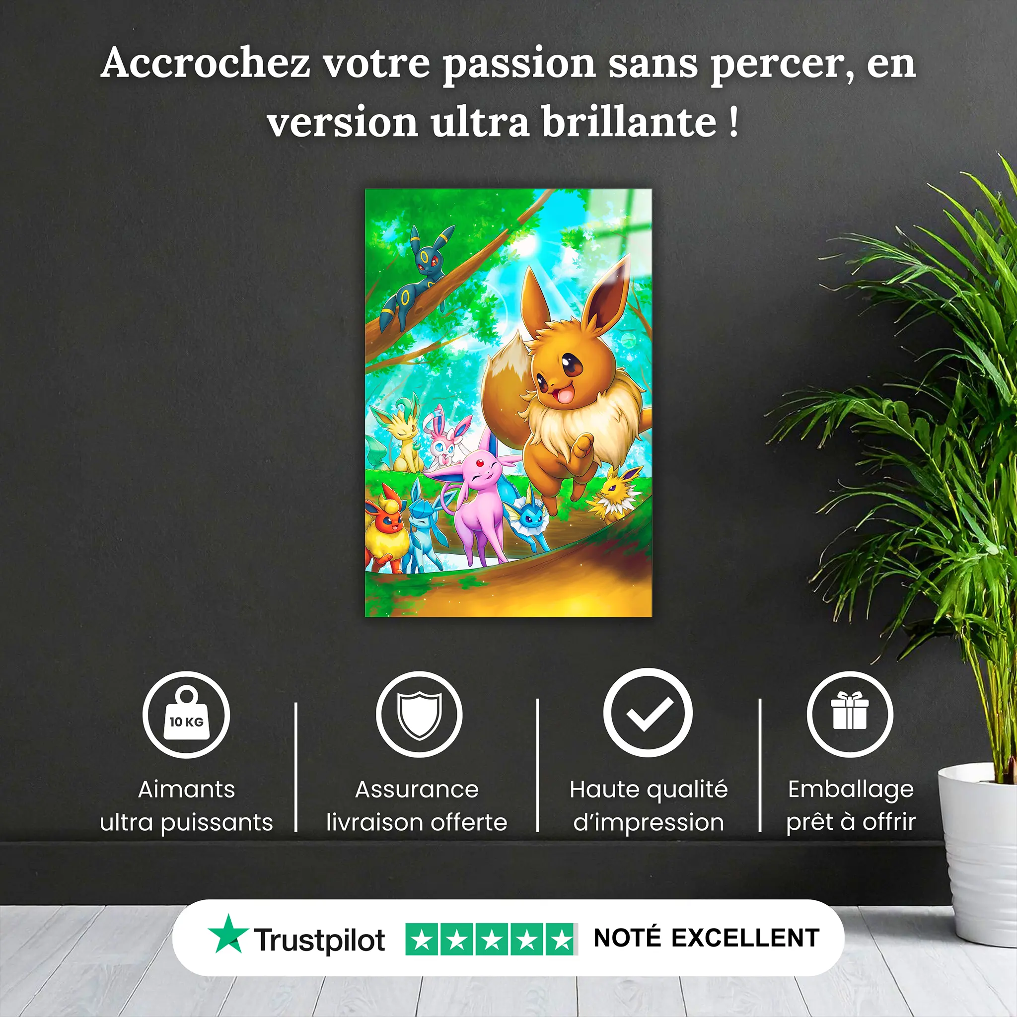 tableau-pokemon-evoli-et-cie-pourquoi-acheter | DreamWay