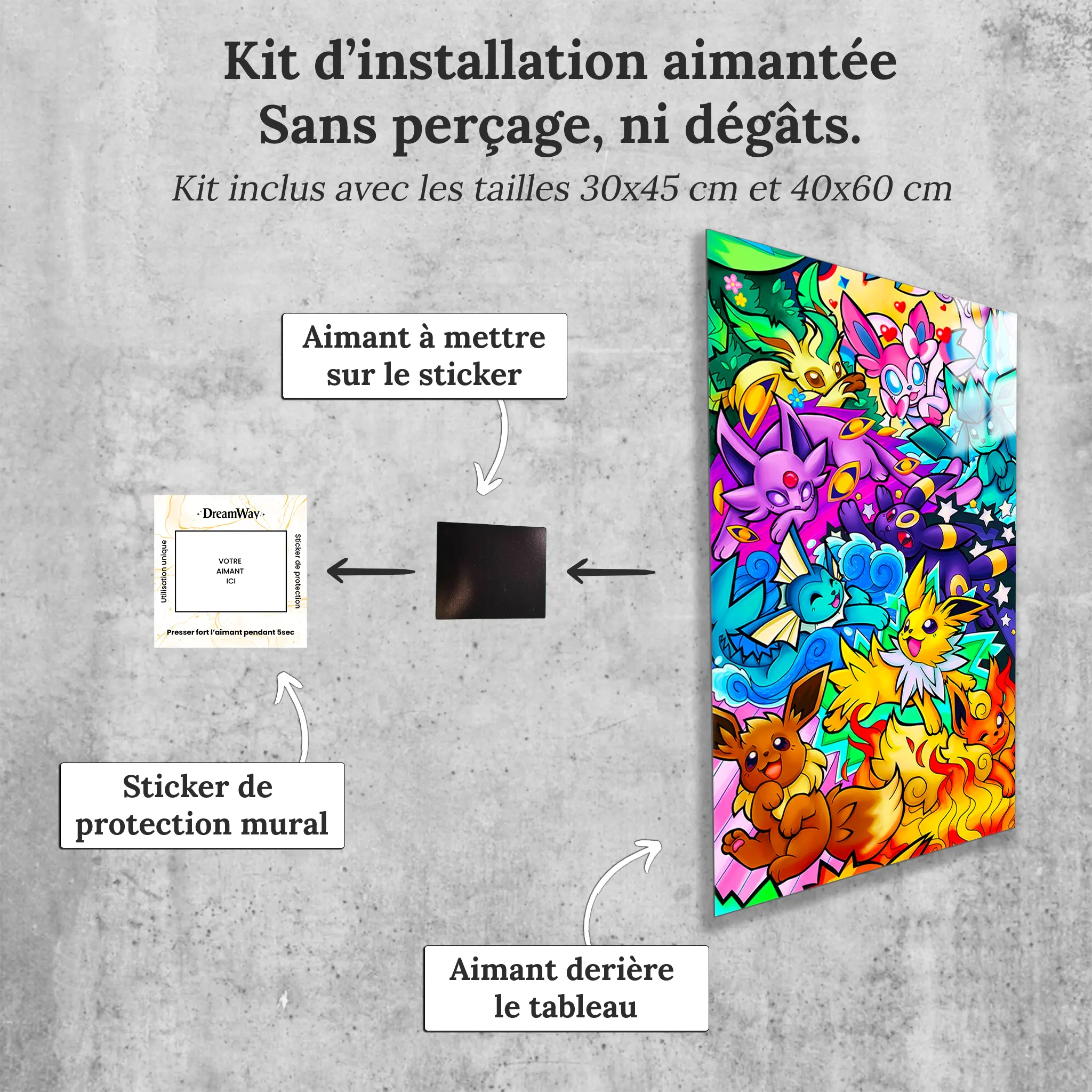 tableau-pokemon-evolition-avec-installation-aimantee | DreamWay