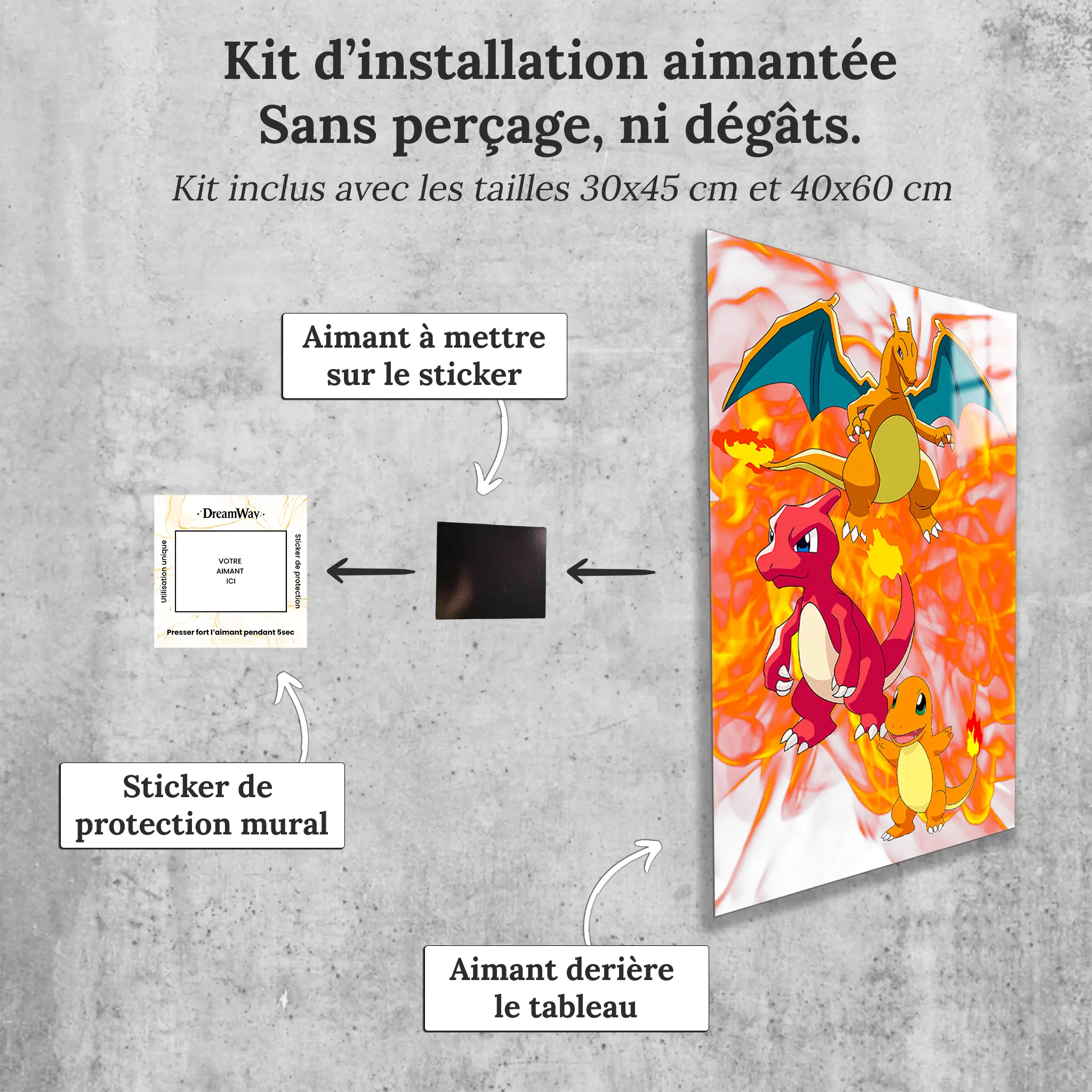 tableau-pokemon-evolution-salameche-avec-installation-aimantee | DreamWay