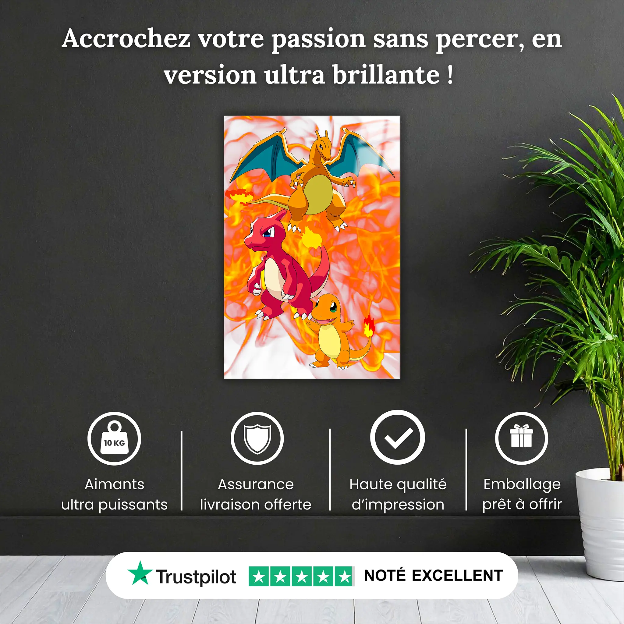tableau-pokemon-evolution-salameche-pourquoi-acheter | DreamWay