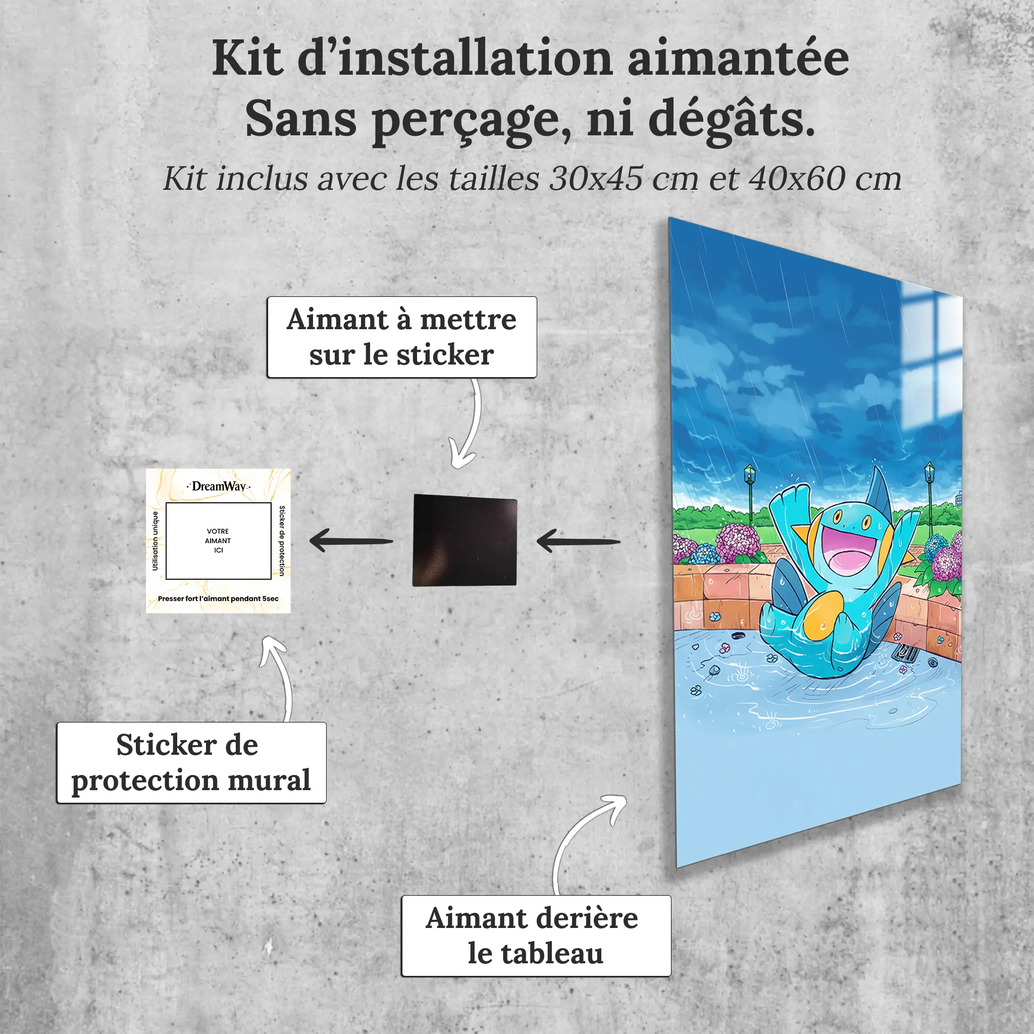 tableau-pokemon-flobio-avec-installation-aimantee | DreamWay
