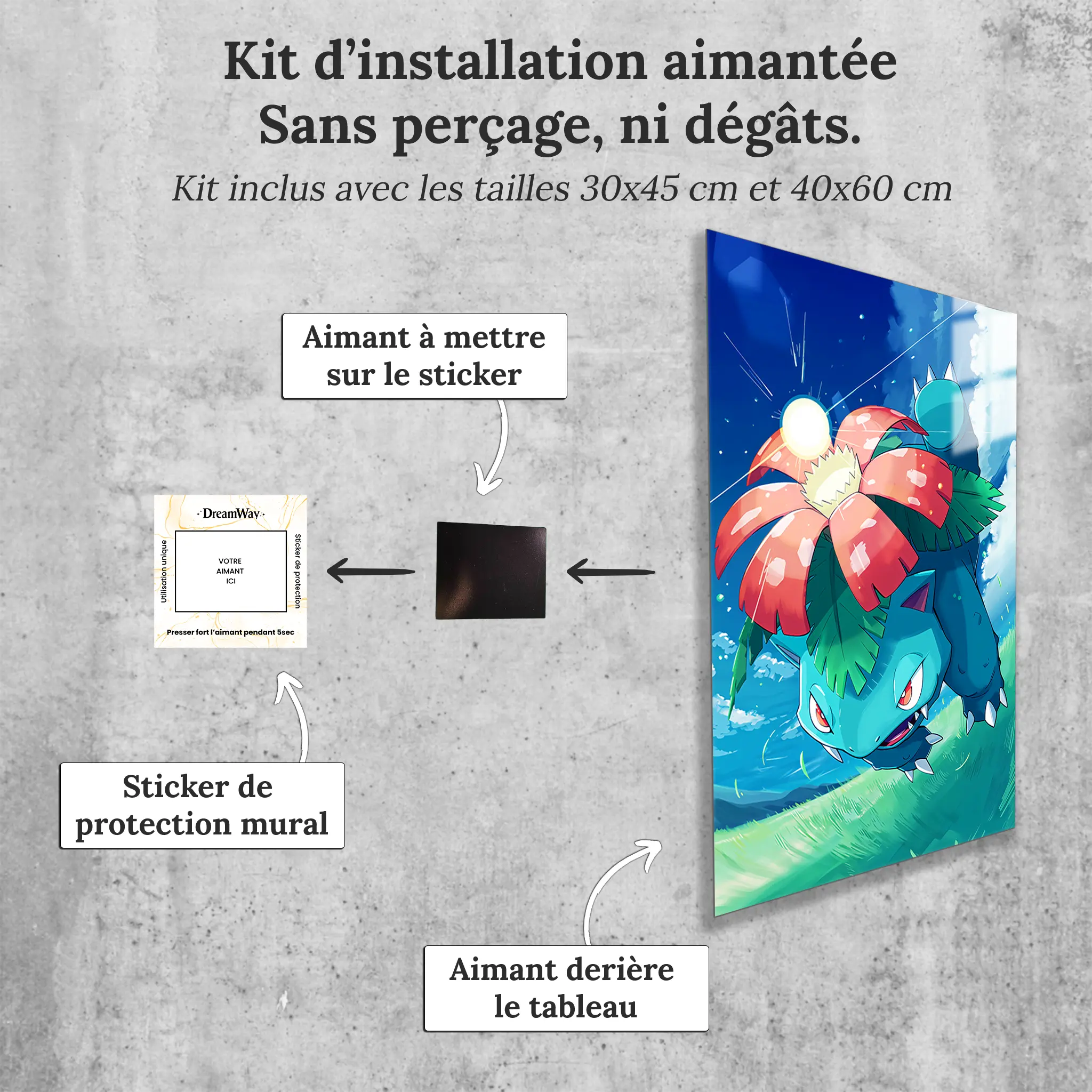 tableau-pokemon-florizarre-attaque-avec-installation-aimantee | DreamWay