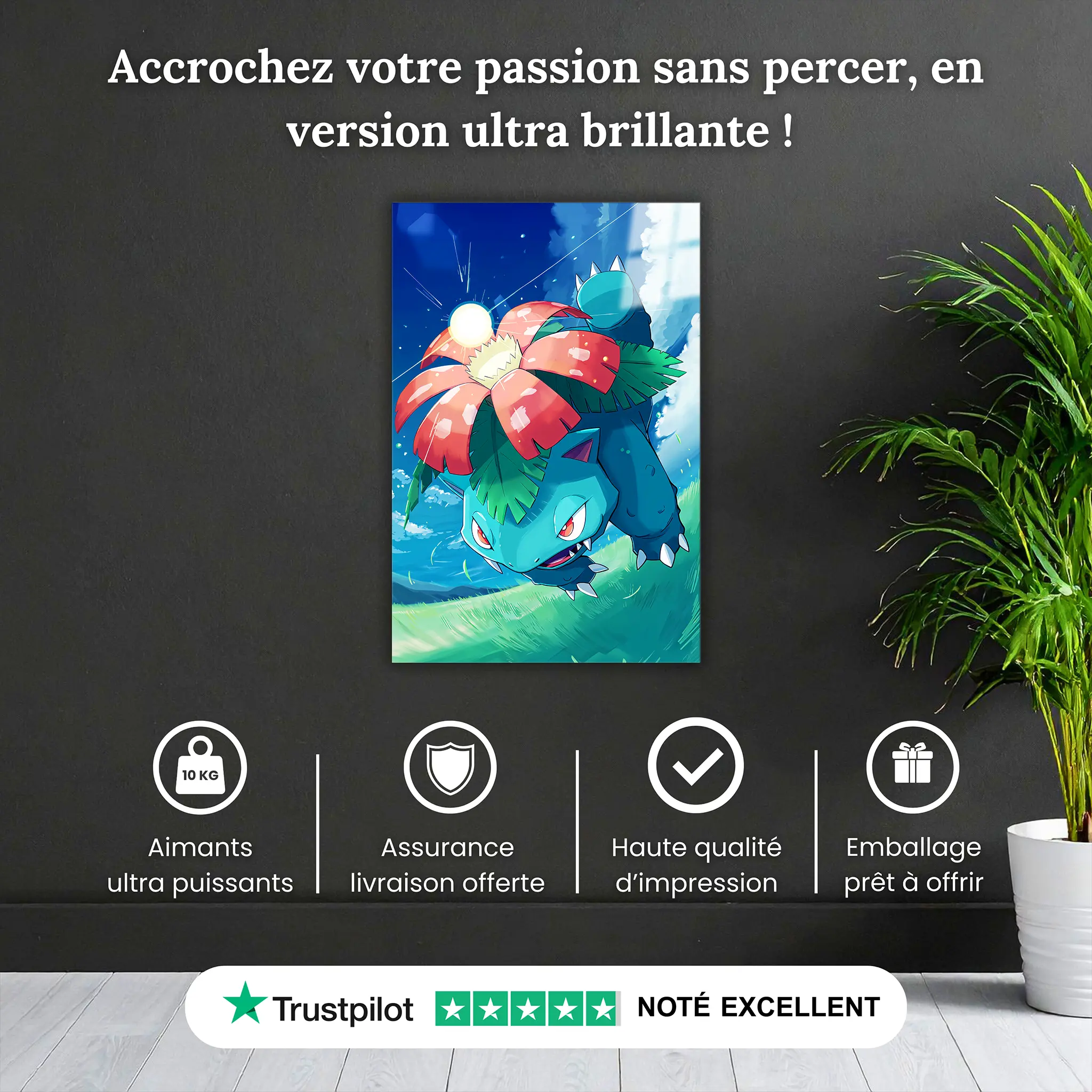 tableau-pokemon-florizarre-attaque-pourquoi-acheter | DreamWay