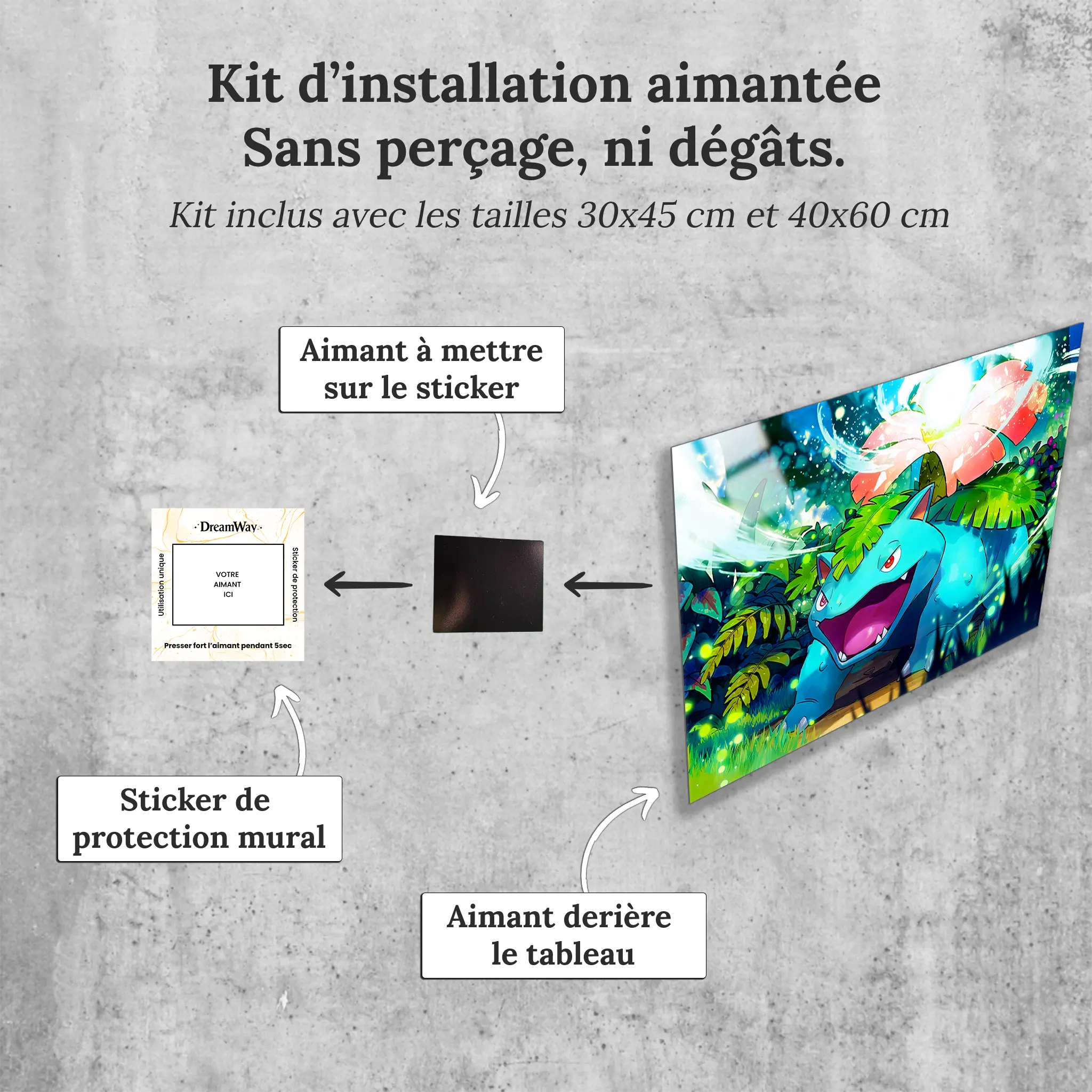 tableau-pokemon-florizarre-paysage-avec-installation-aimantee | DreamWay
