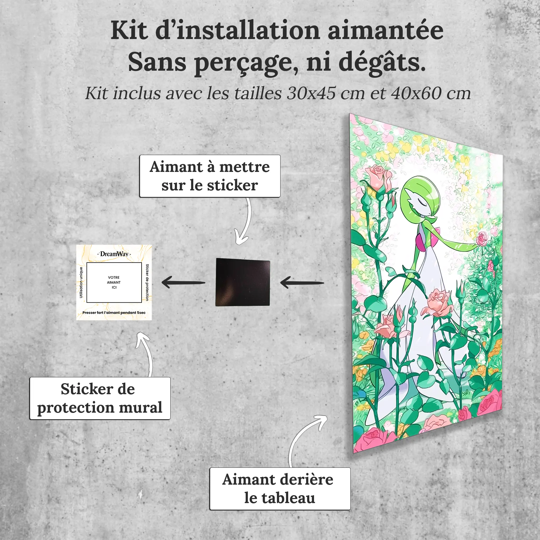 tableau-pokemon-gardevoir-avec-installation-aimantee | DreamWay