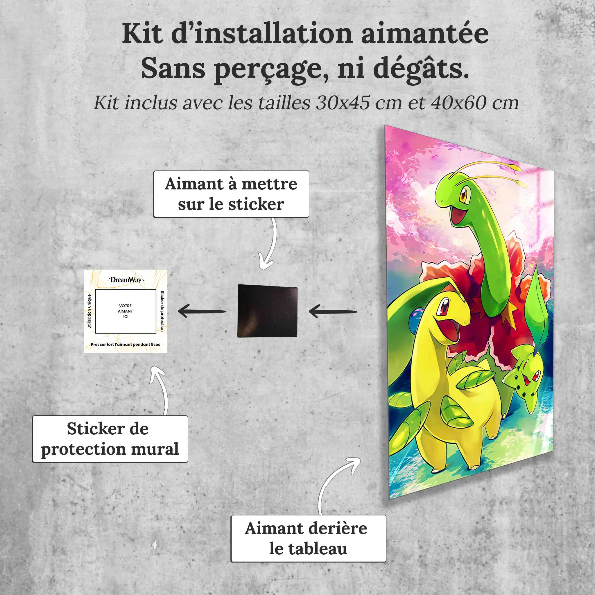 tableau-pokemon-germignon-et-ses-evolutions-avec-installation-aimantee | DreamWay