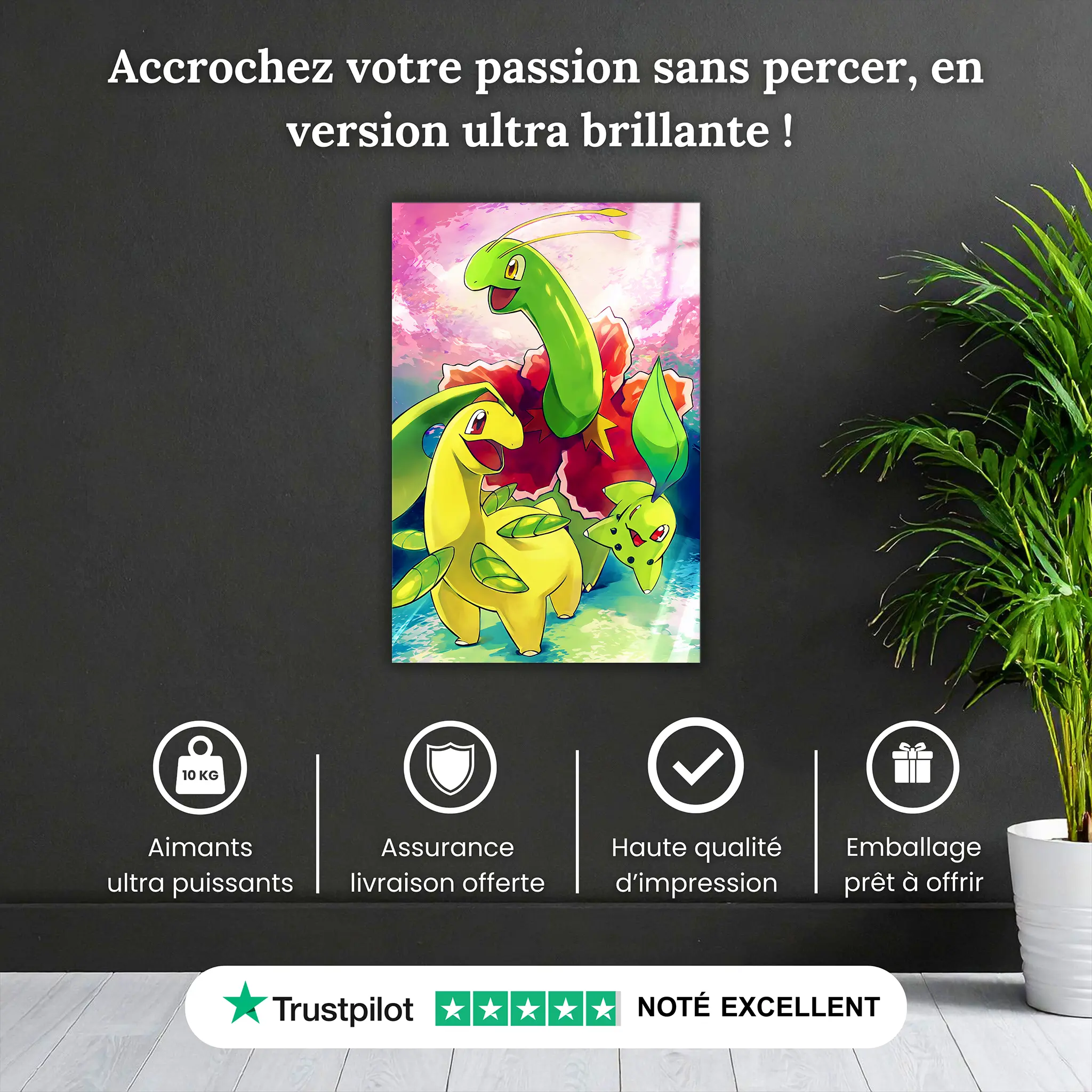 tableau-pokemon-germignon-et-ses-evolutions-pourquoi-acheter | DreamWay
