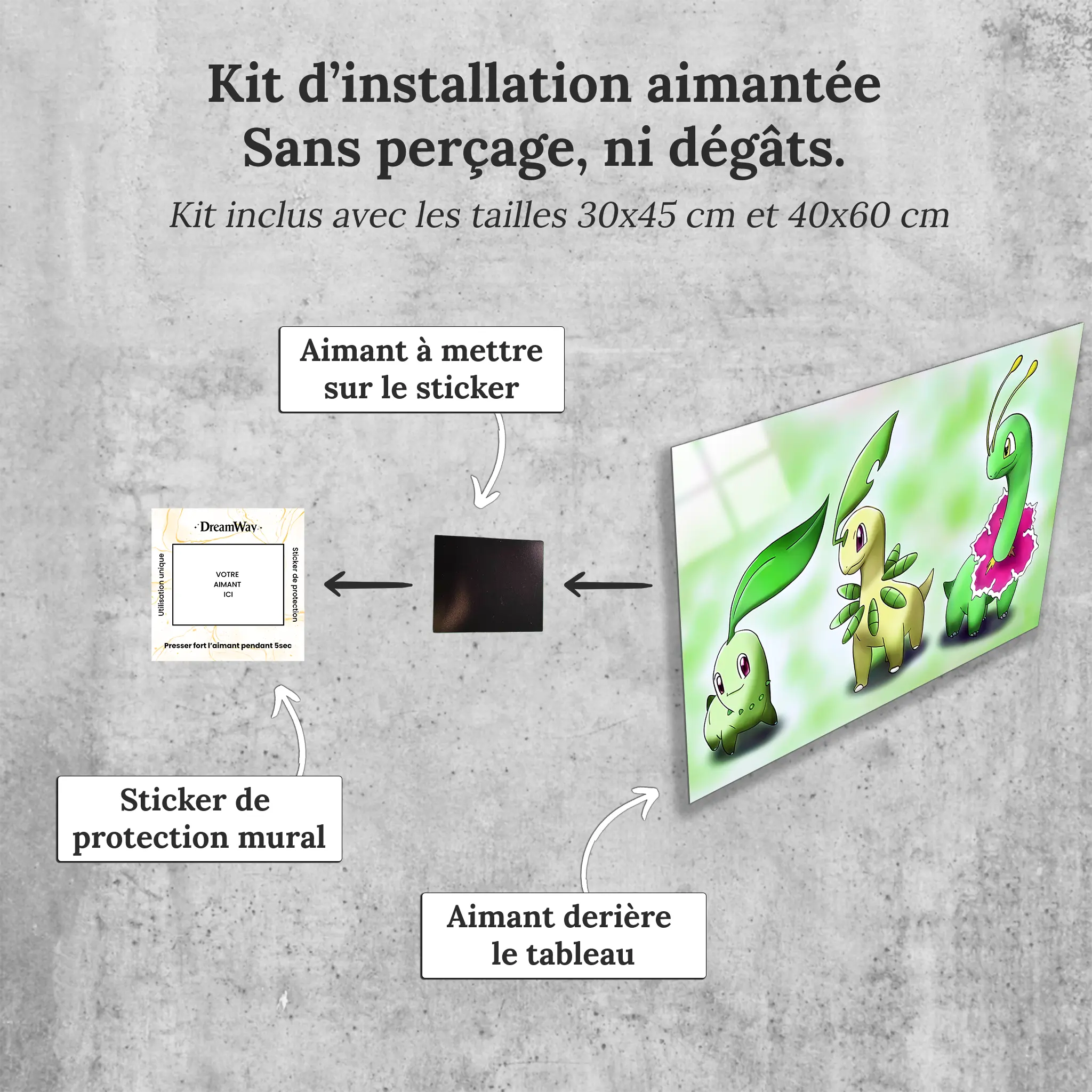 tableau-pokemon-germignon-evolution-avec-installation-aimantee | DreamWay