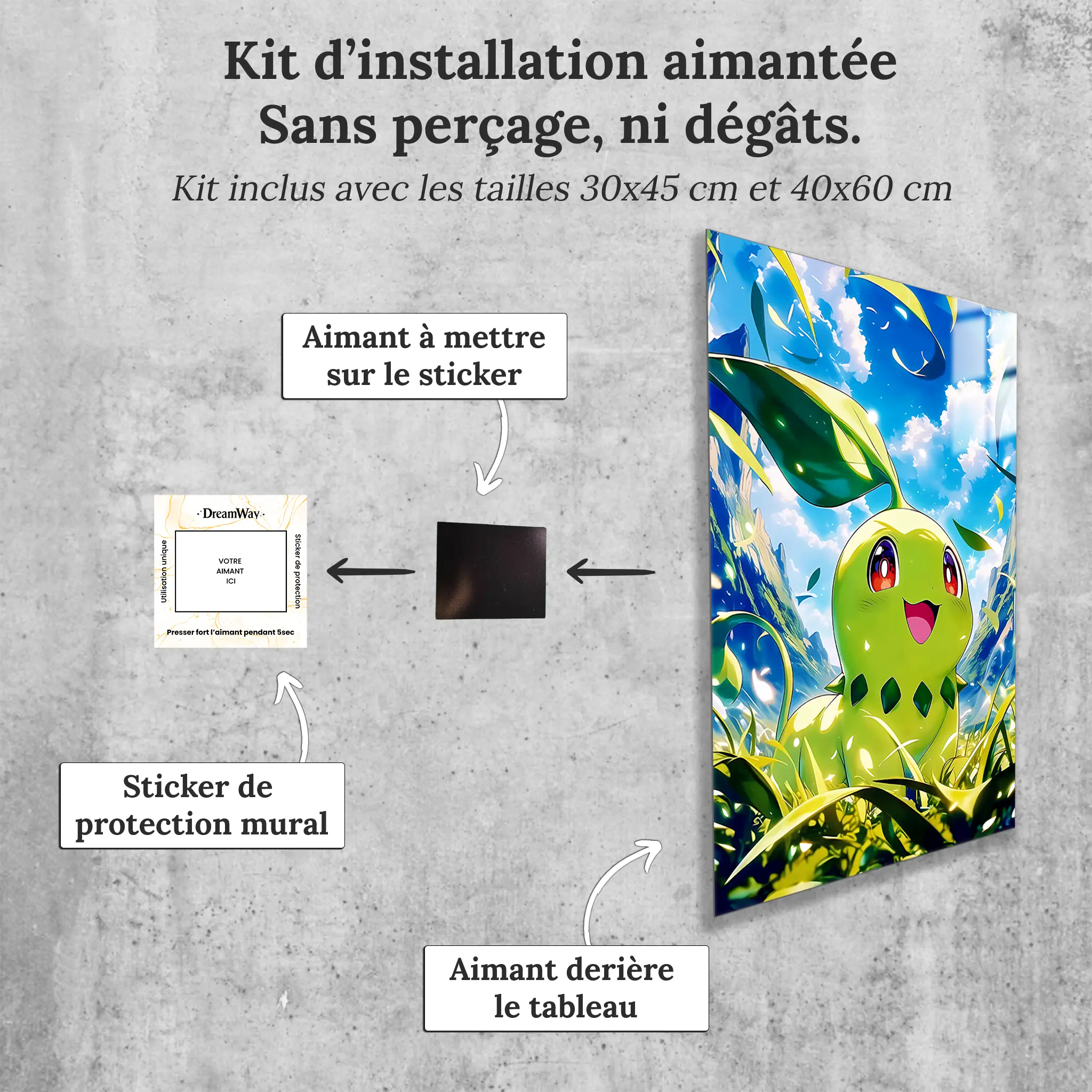 tableau-pokemon-germignon-nature-avec-installation-aimantee | DreamWay