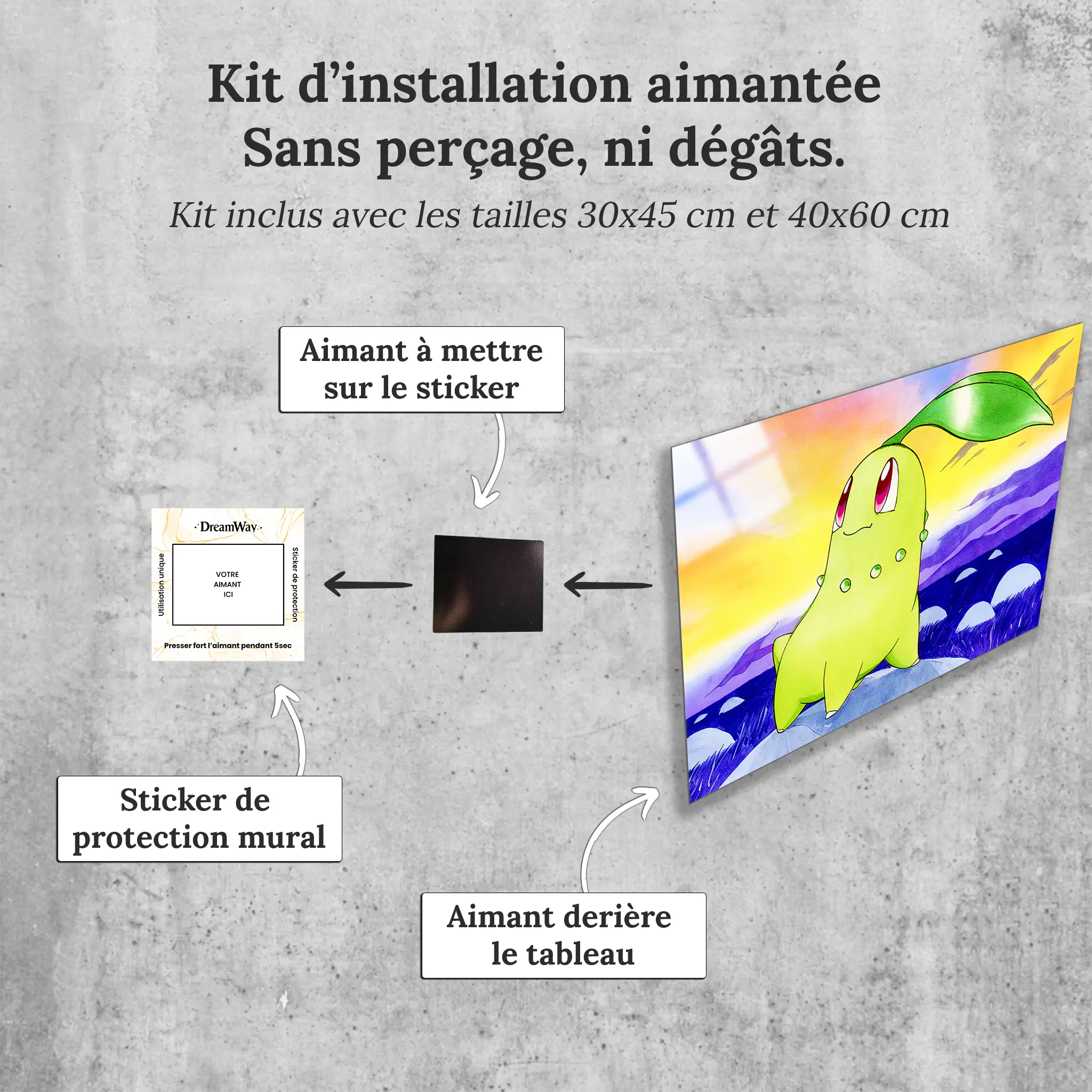 tableau-pokemon-germignon-paysage-avec-installation-aimantee | DreamWay