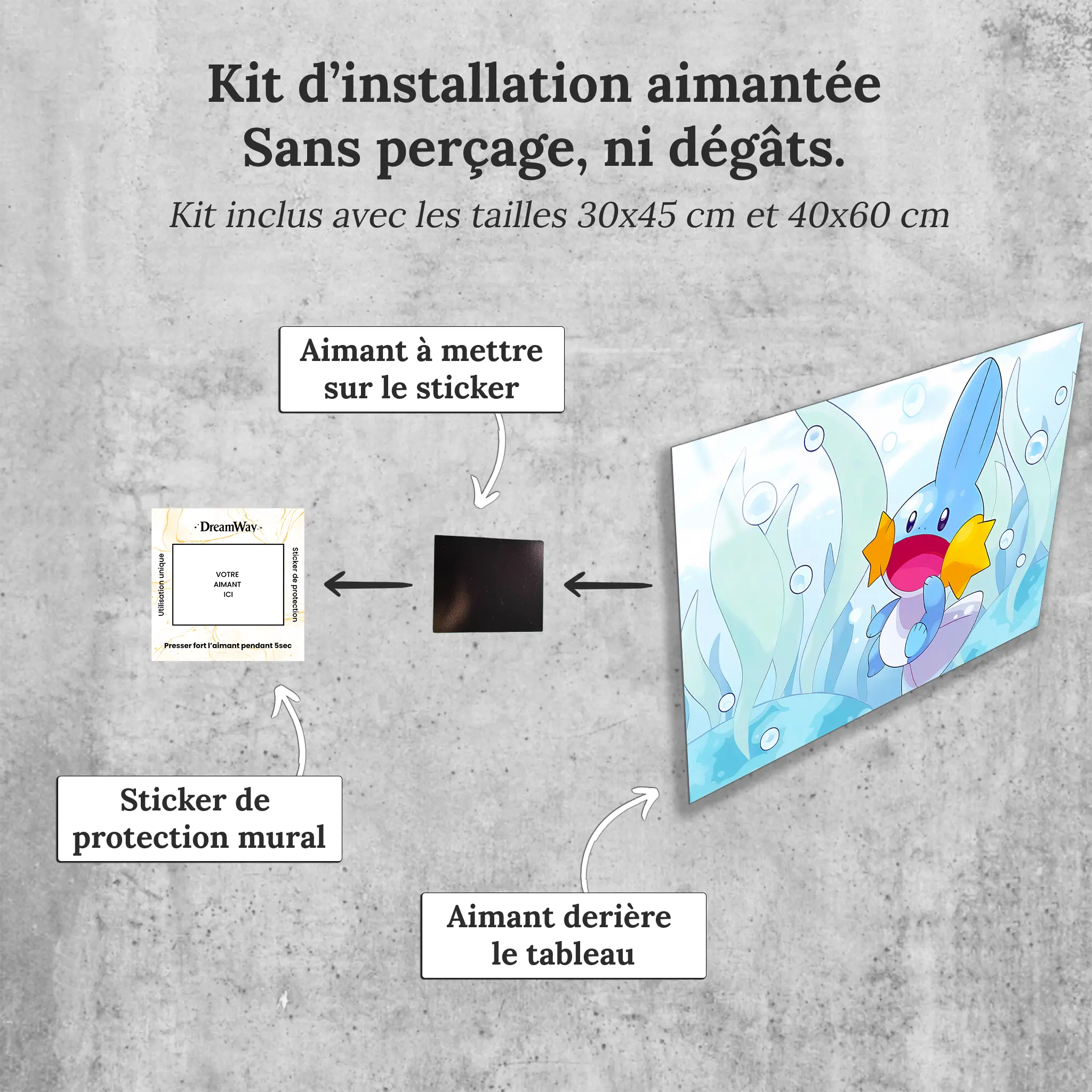 tableau-pokemon-gobou-avec-installation-aimantee | DreamWay